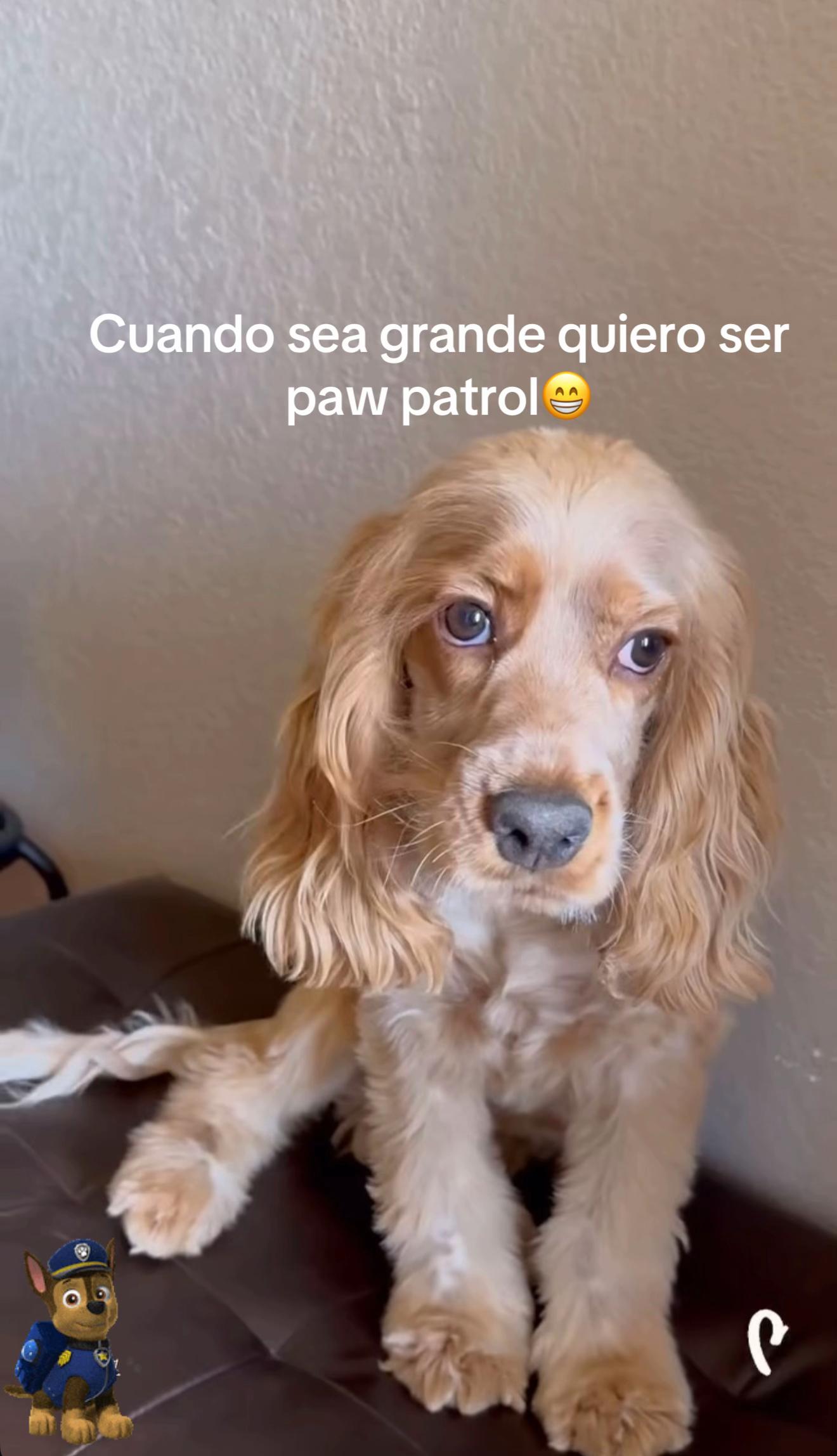 @Quiroz27!⚡️