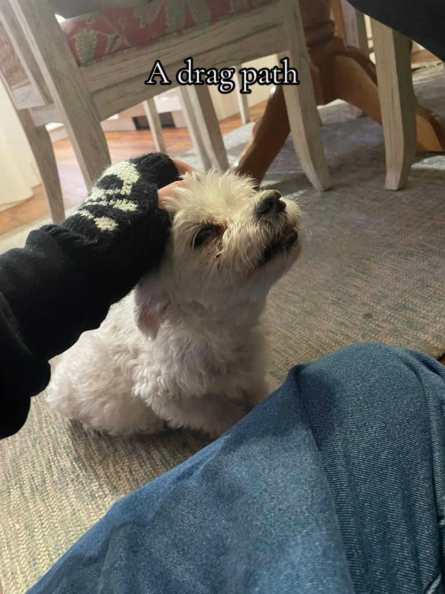 @โโ ๏ธ๏ธ๐ท๐๐๐๐โ ๏ธ๏ธโ