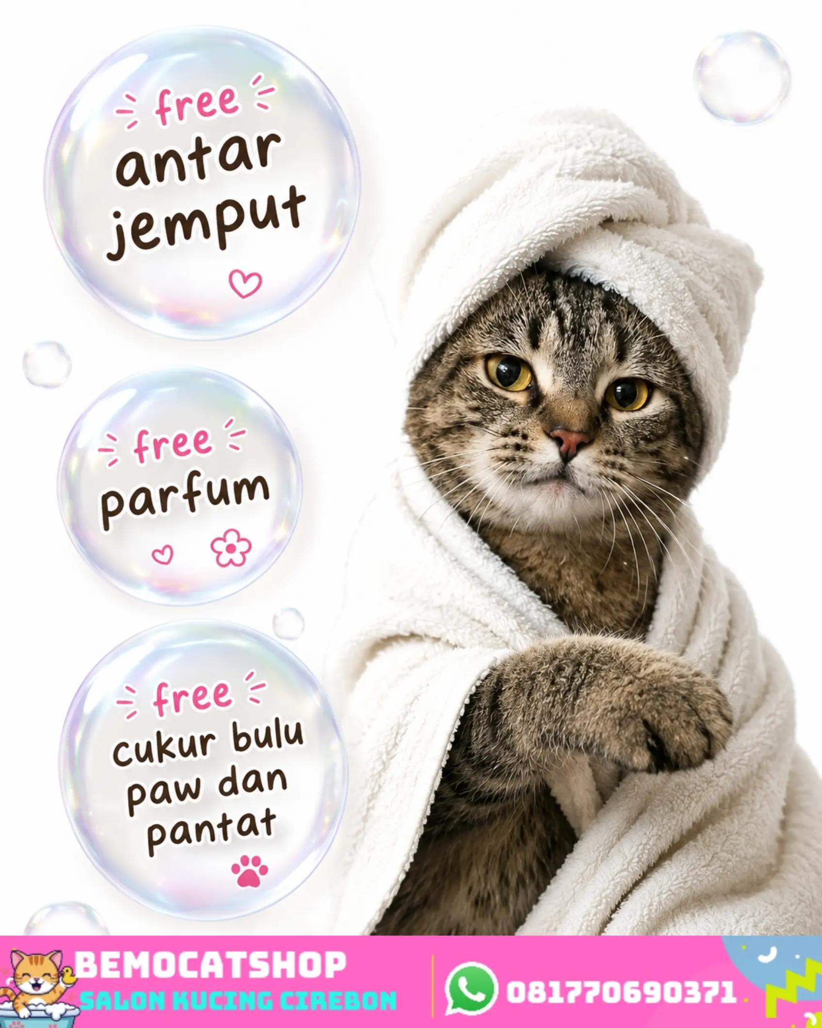 @Bemo Catshop