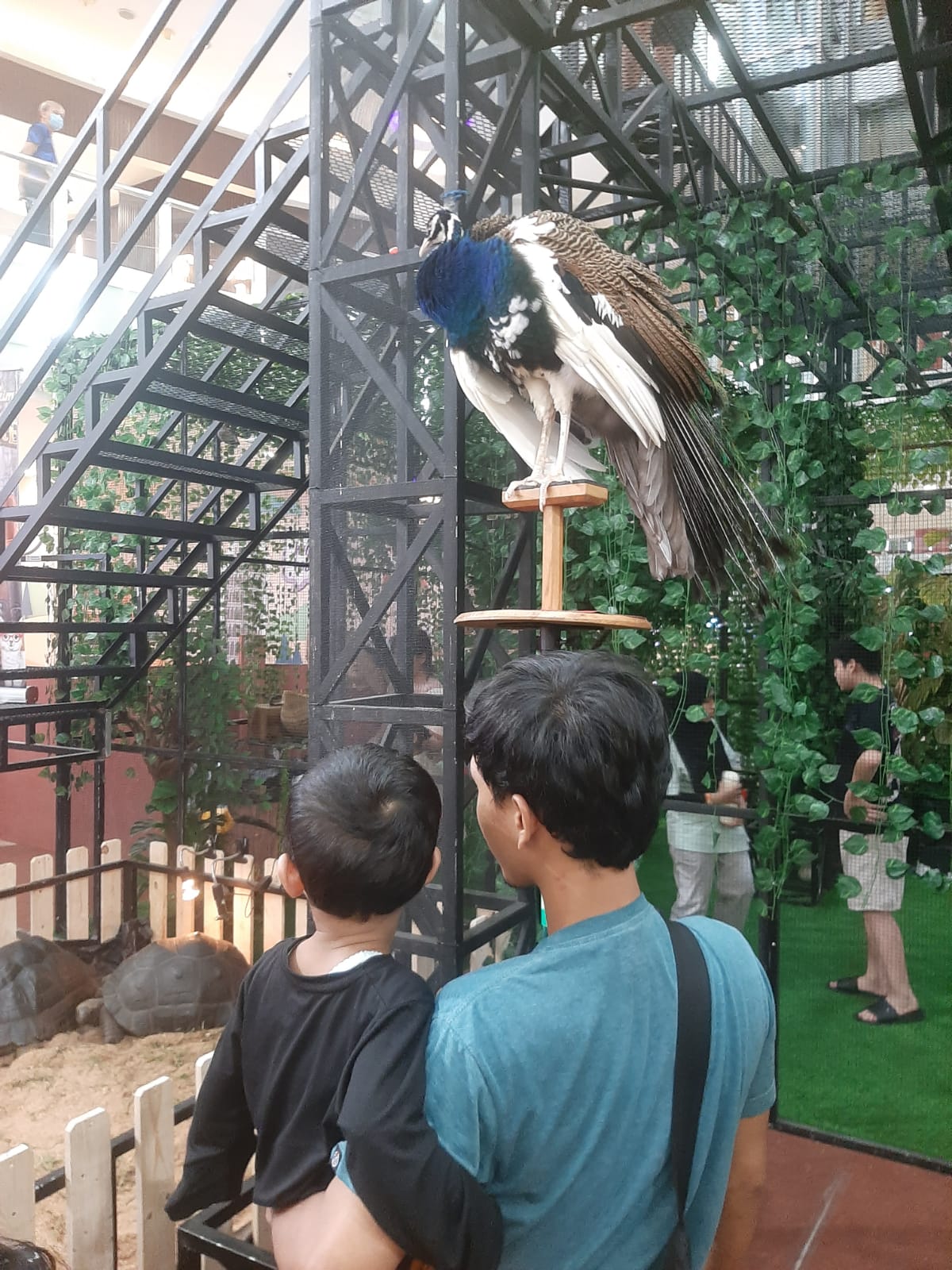 @kongkowentertainmet