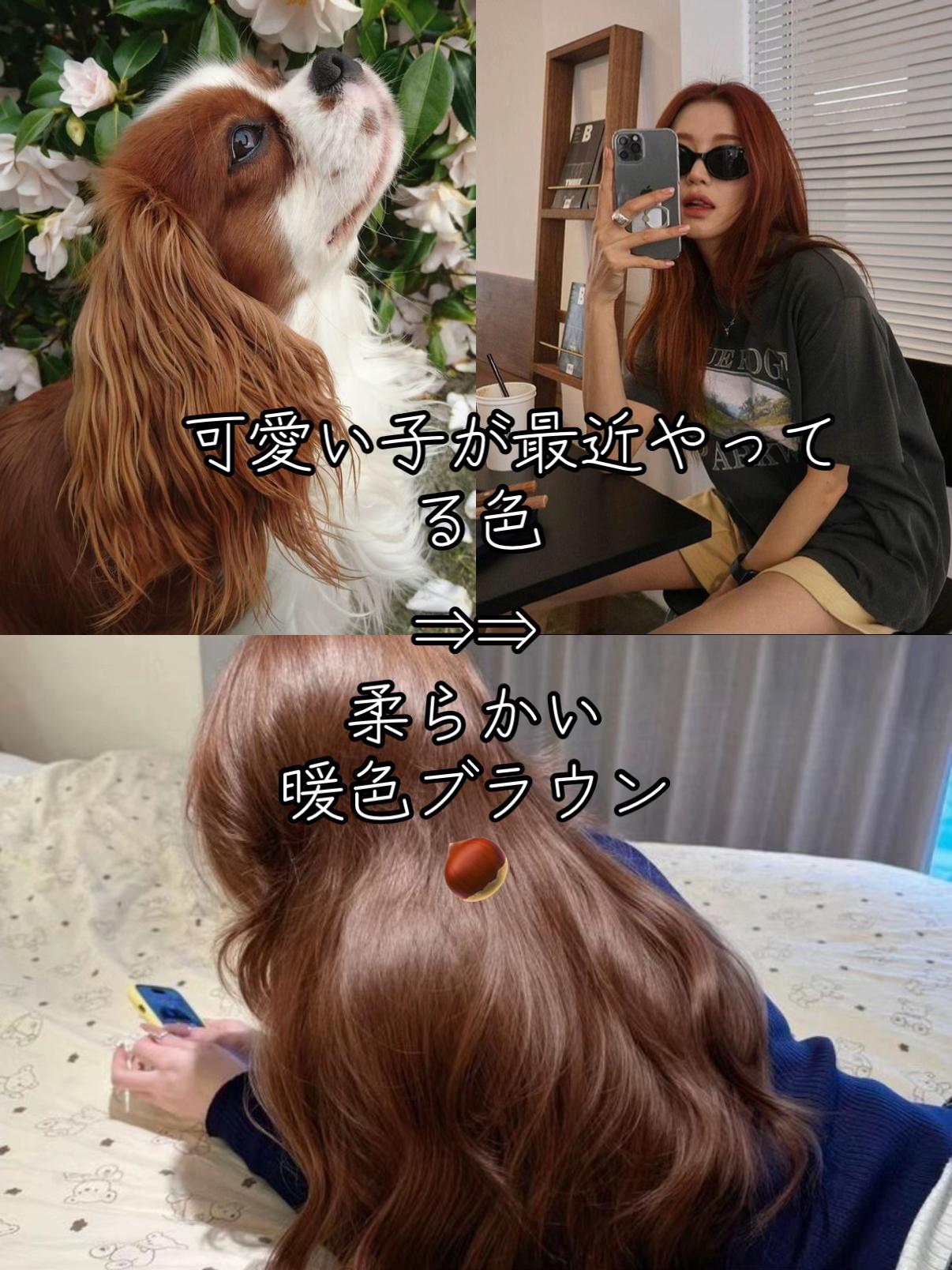 @マサ/暖色カラー/表参道