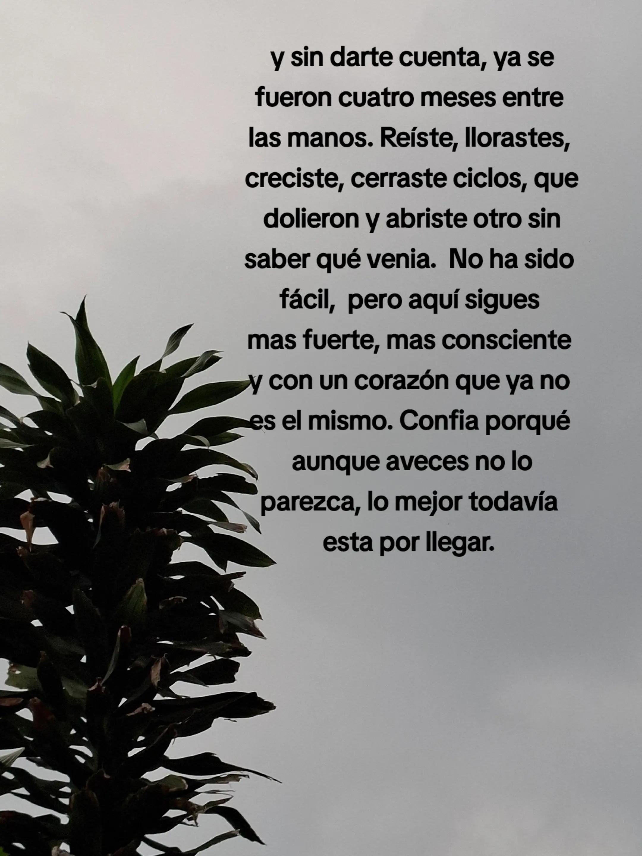 @🦋🐛Mare VB🦋🐛