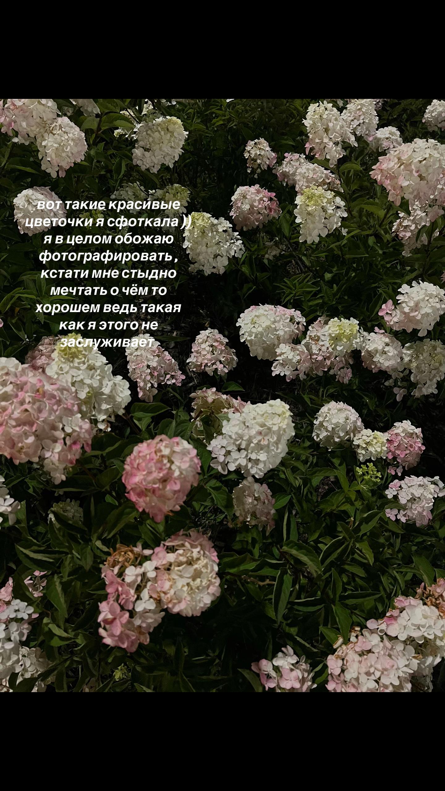 @алинка
