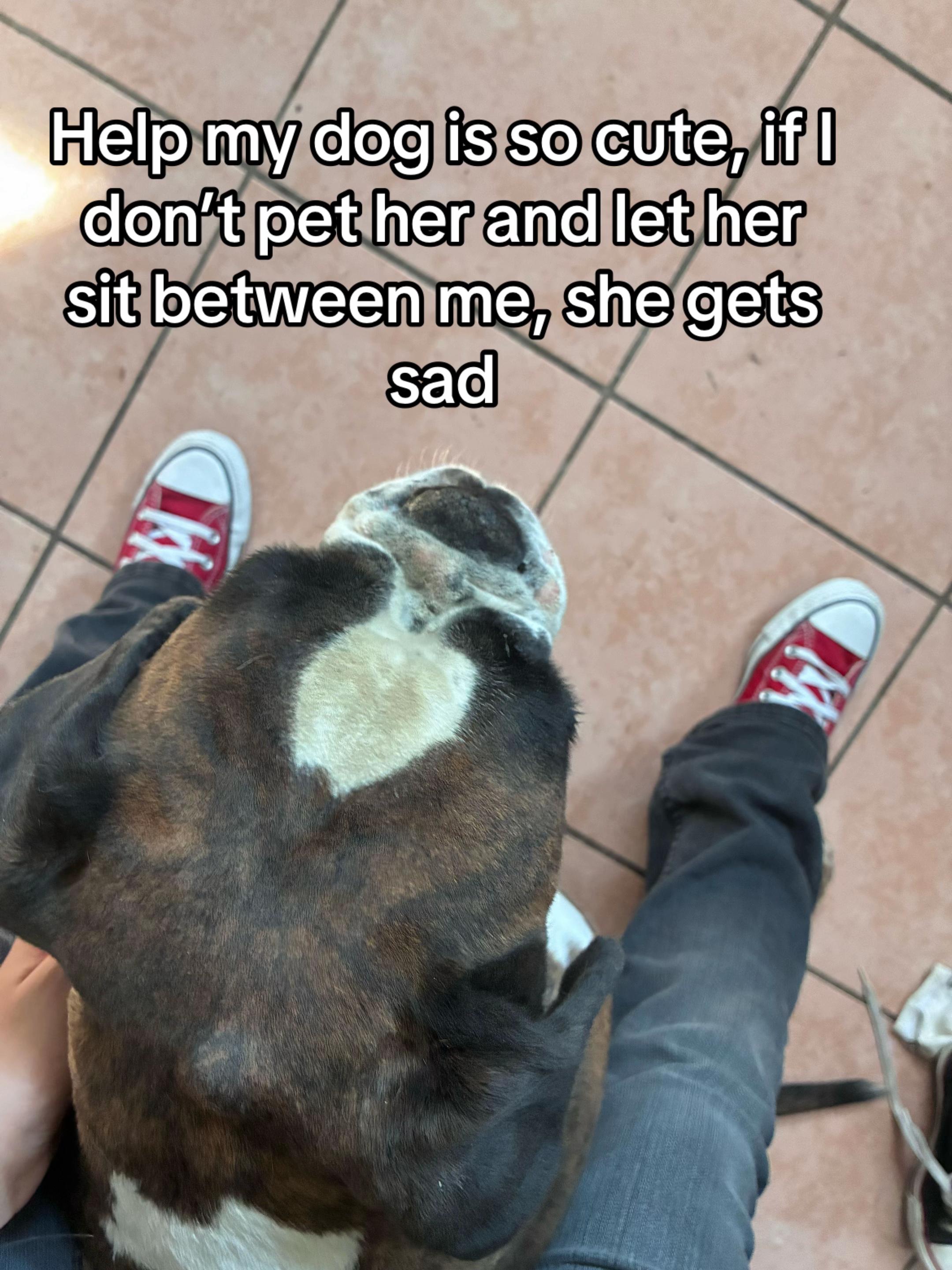 @𝕮𝖍𝖎𝖆𝖗𝖆🐈⬛