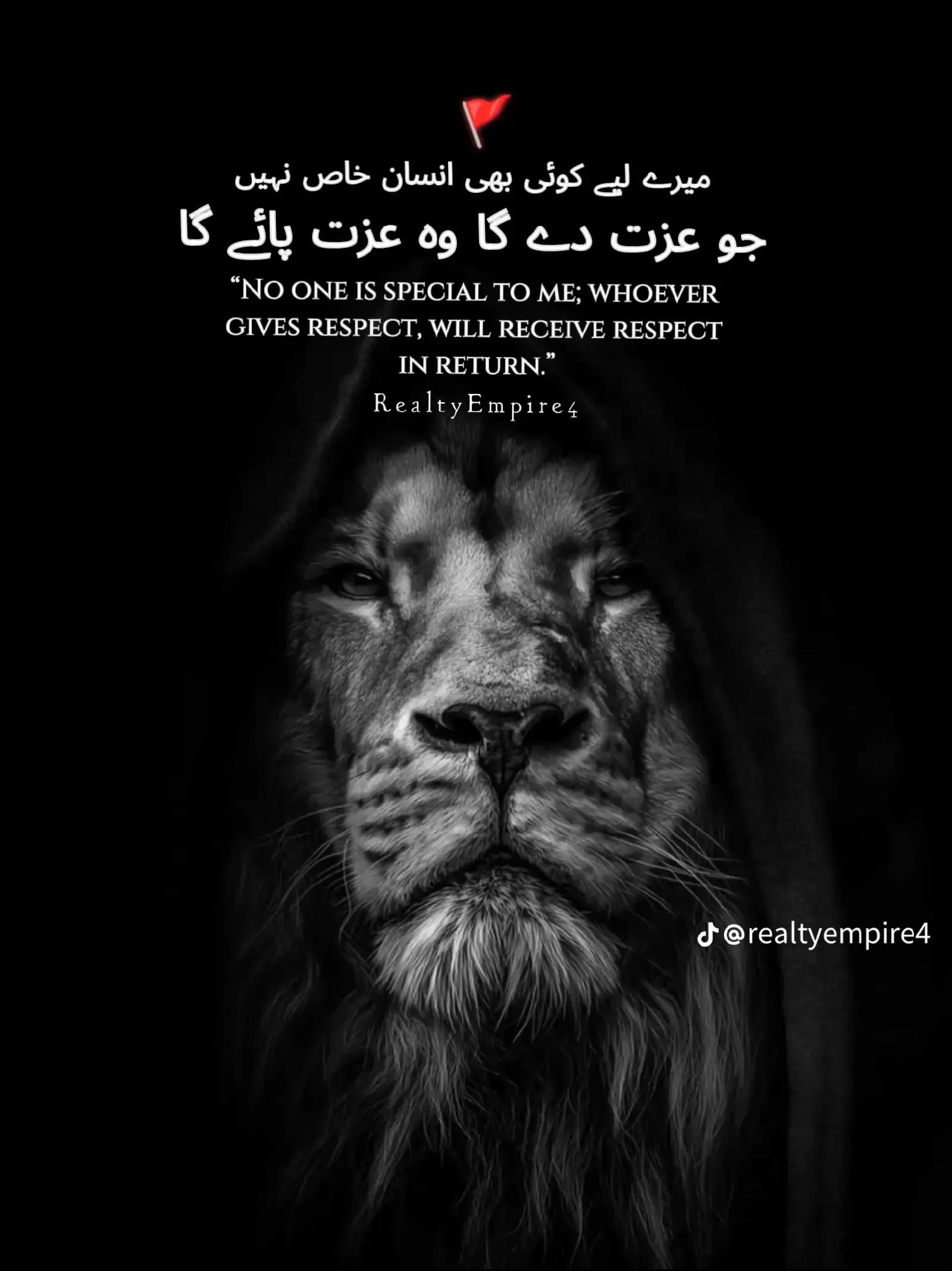 @Tayyab107