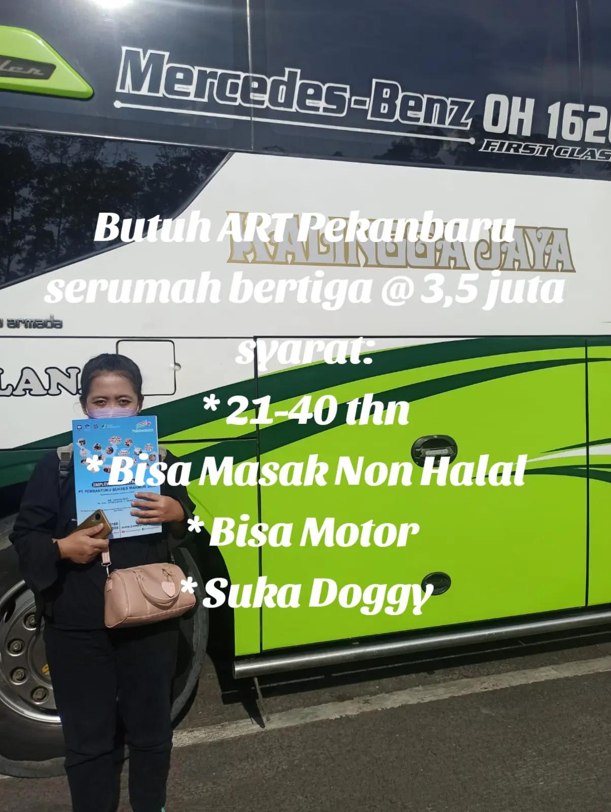 @pembantu.co.id