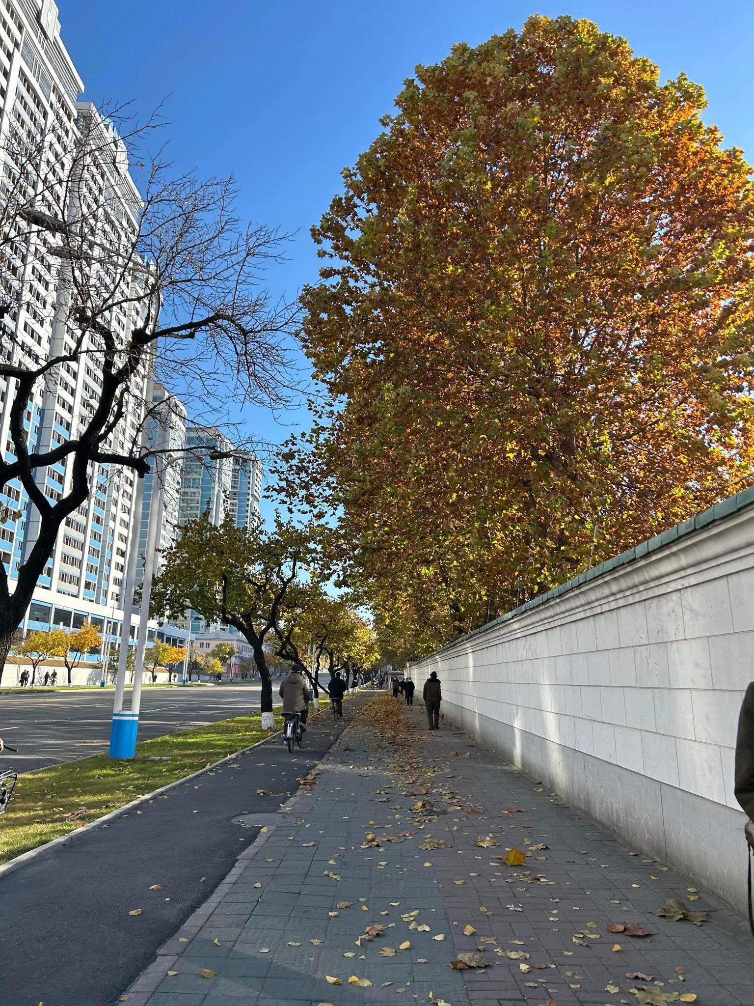 @엔록스[☸️|🇰🇵🇺🇦]