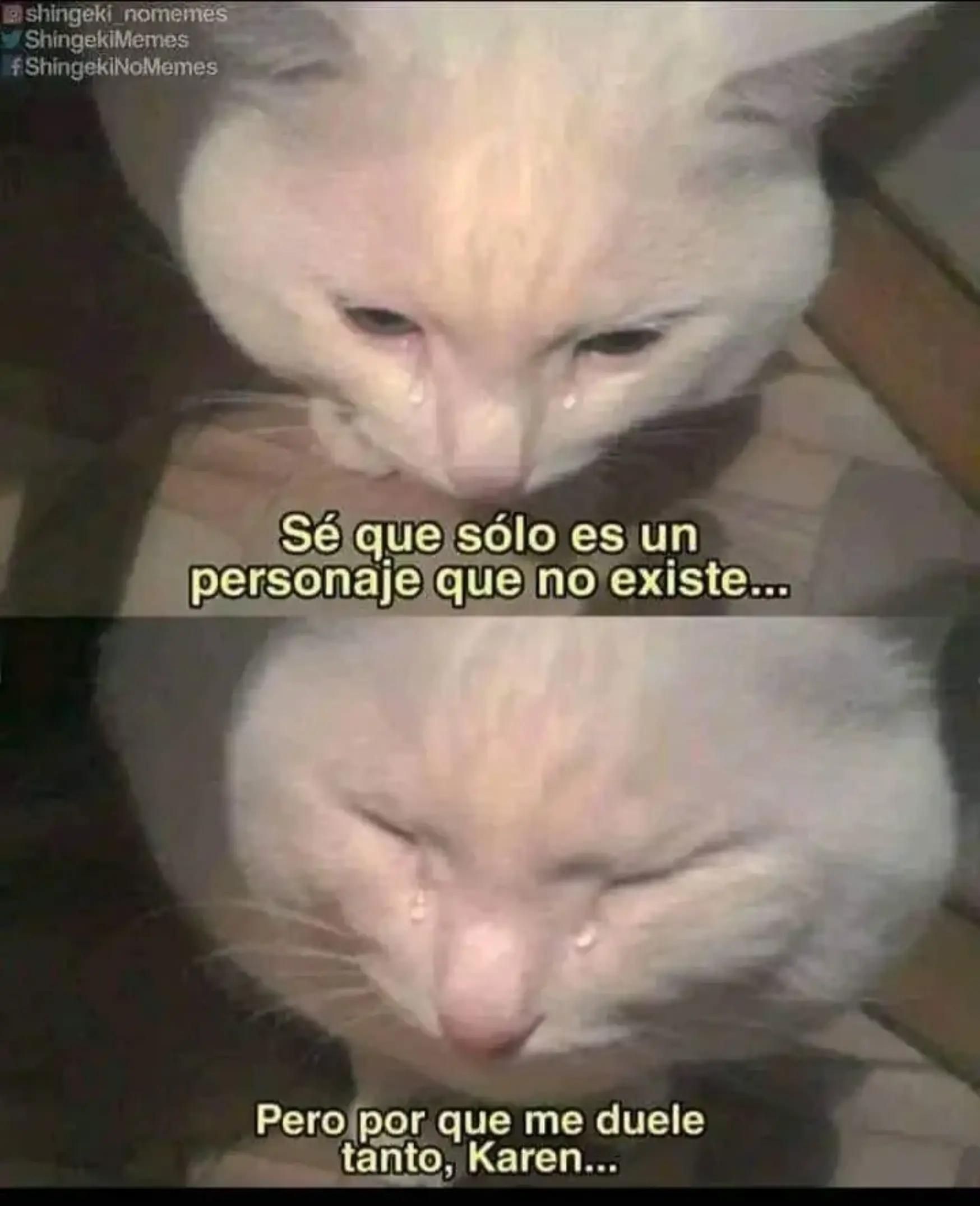 @Noelia Thais