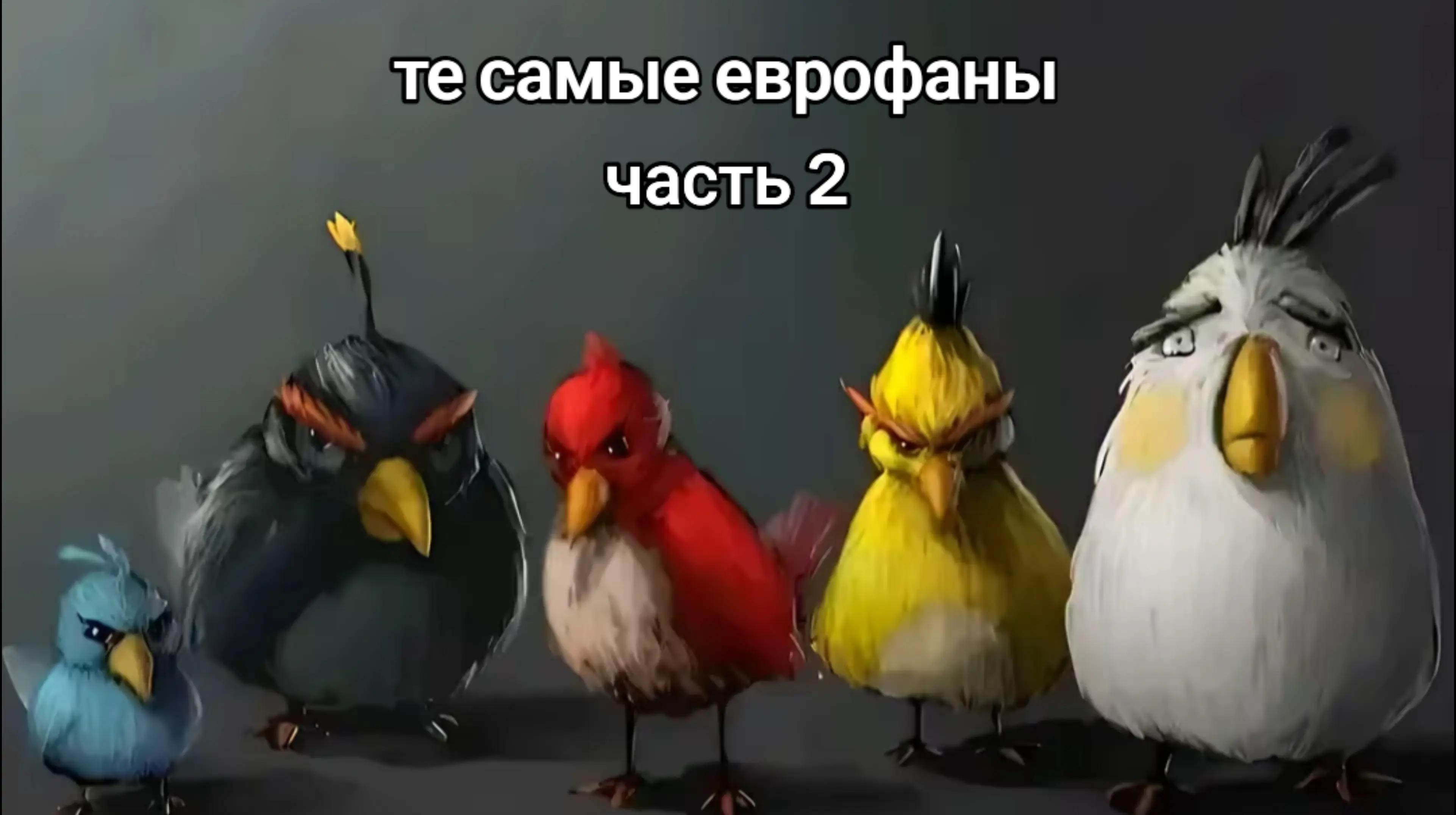 @Котяра в стране Евро-чудес