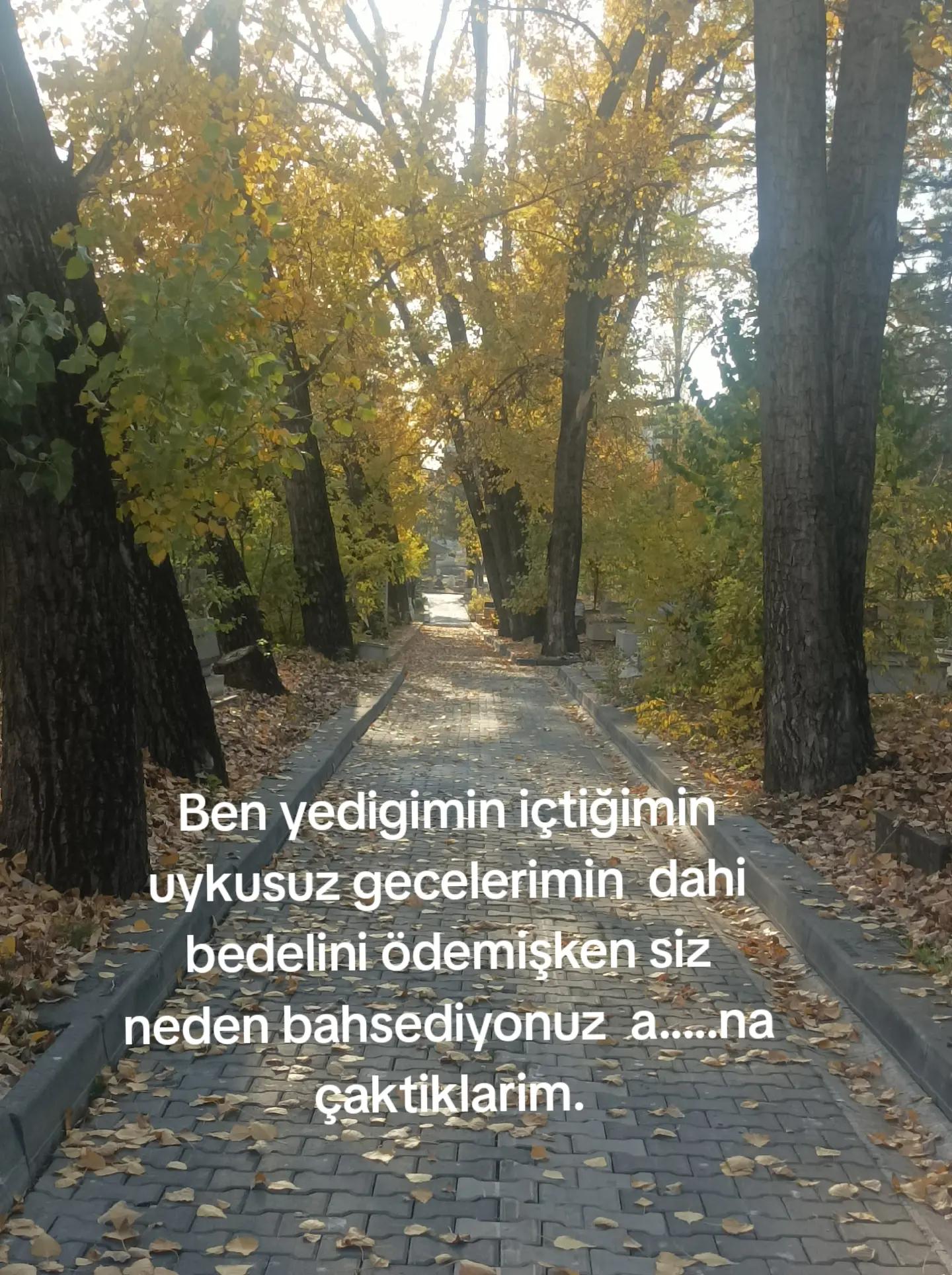 @Sato Bodur
