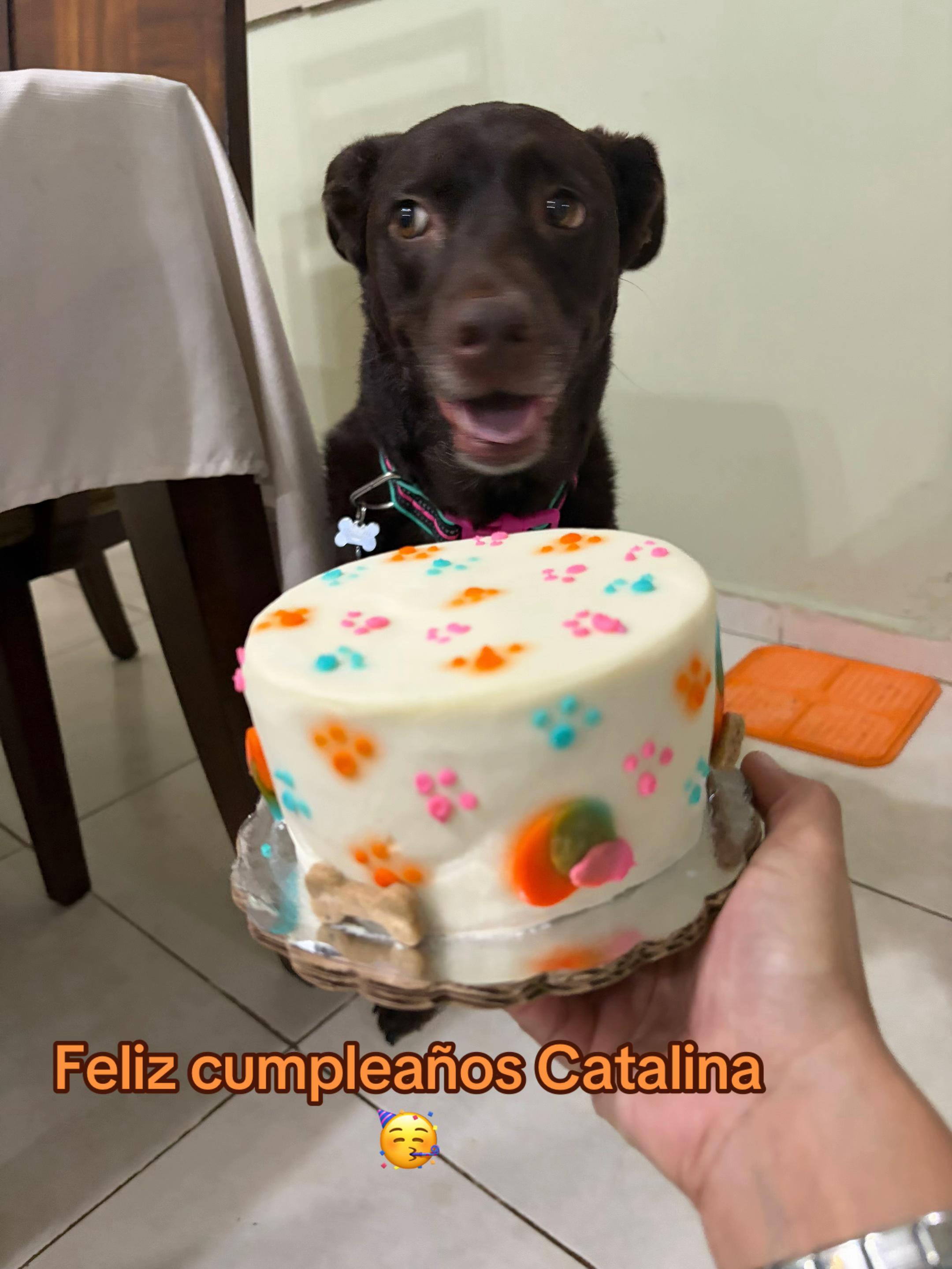 @Soycataliina
