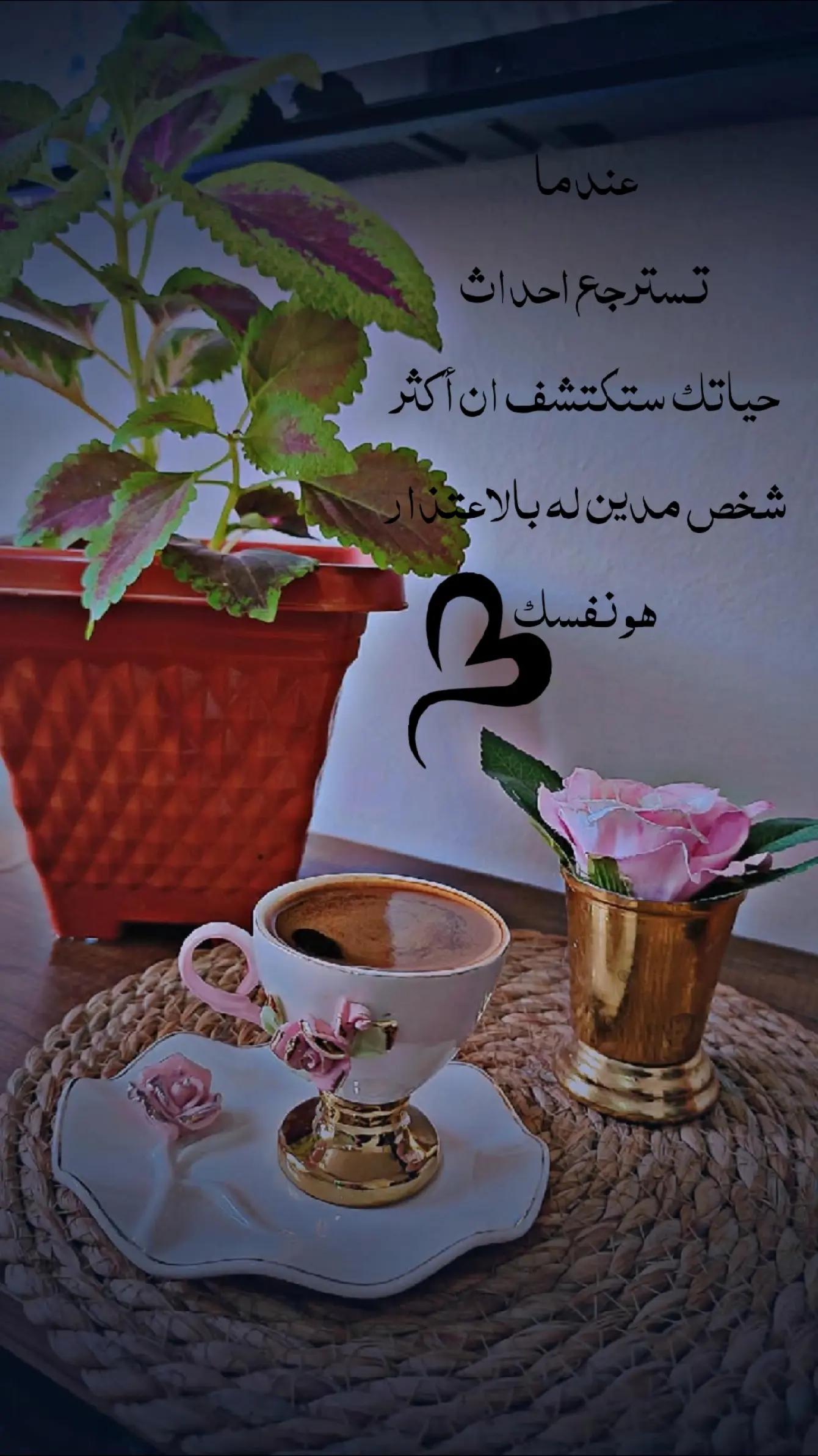 @عبير الورد🍃❤️