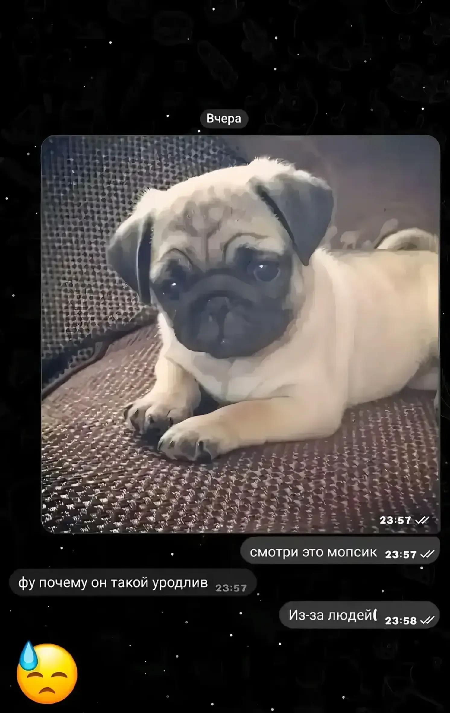 @ГНИДА_XIX_ВЕКА🧛