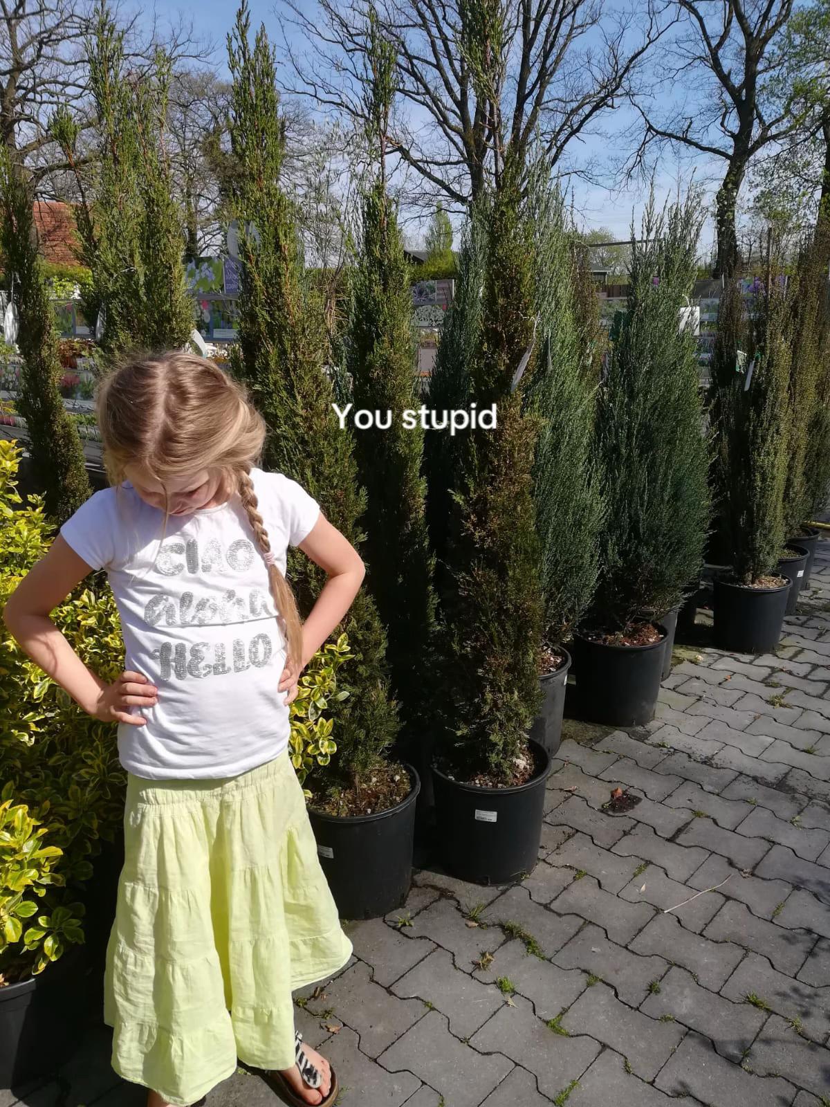 @𝒞𝒽𝒶𝓇.