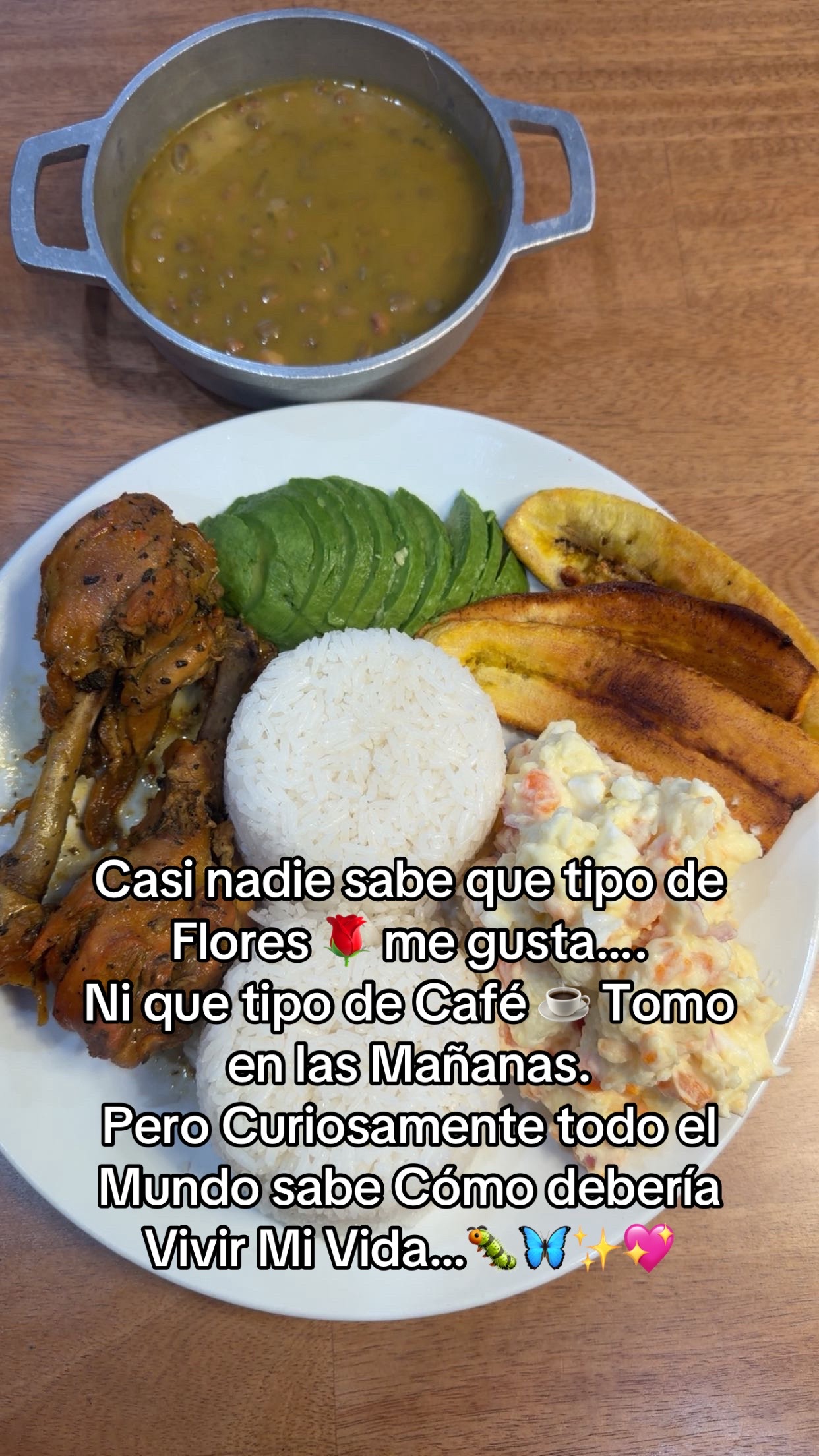 @🌼🌸La Osita 🌸🌼