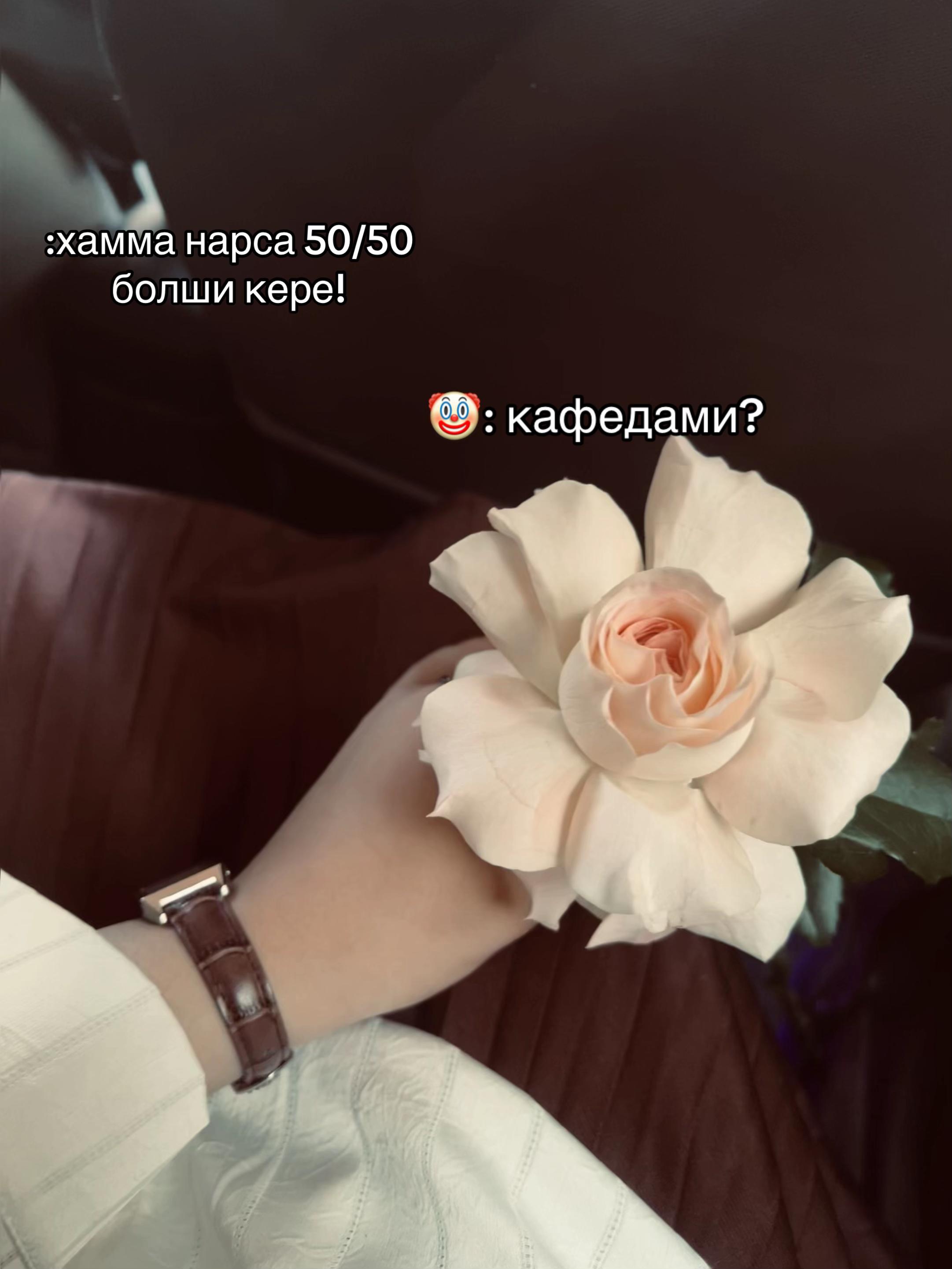 @jassurovnas