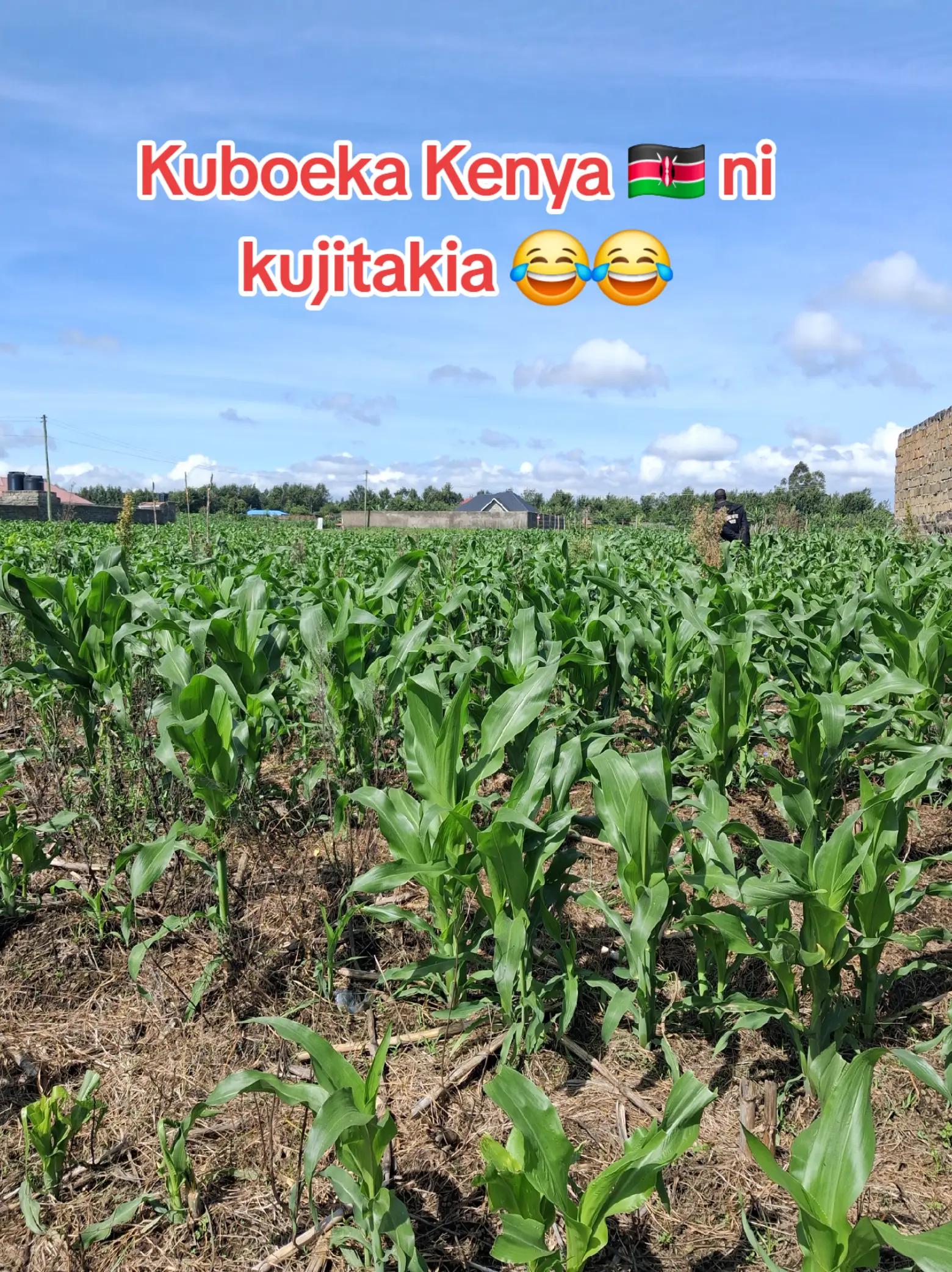 @Akirik