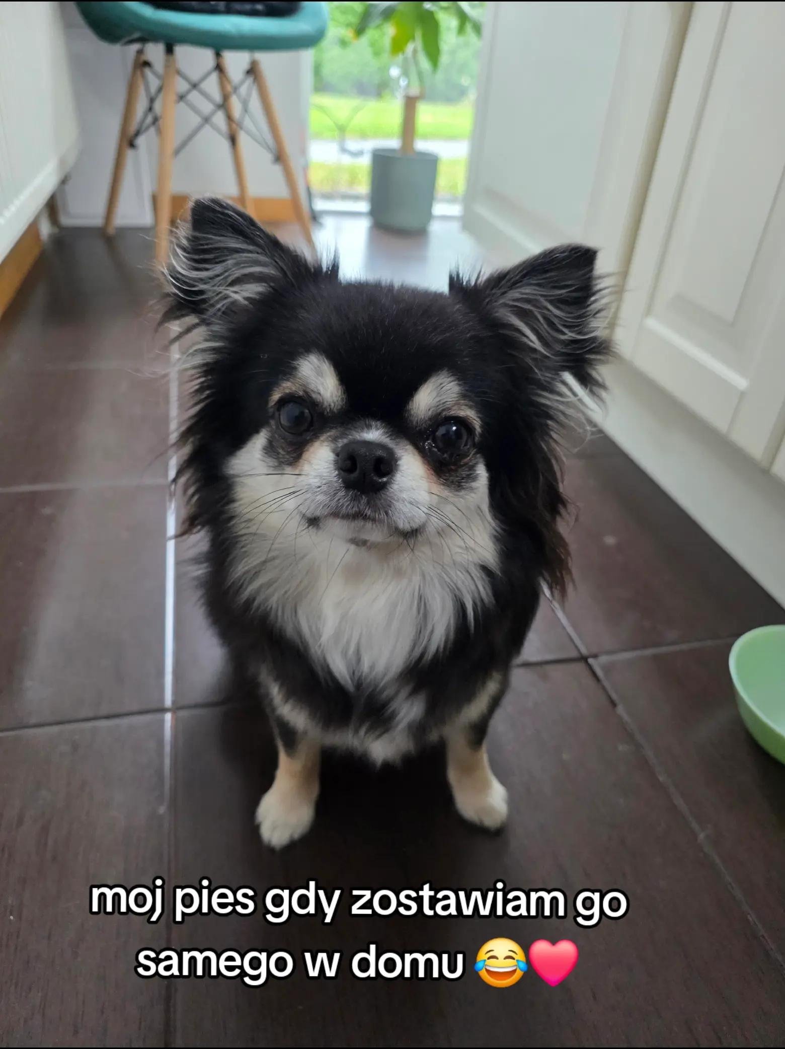 @💥FRELKA💥