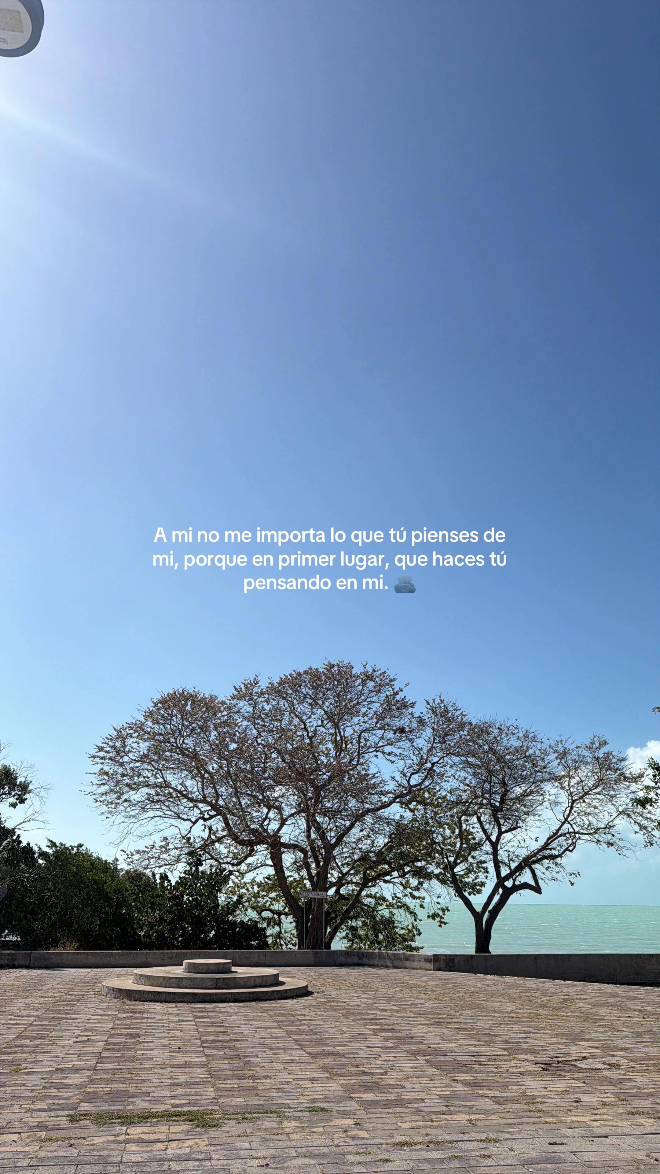 @Mariana