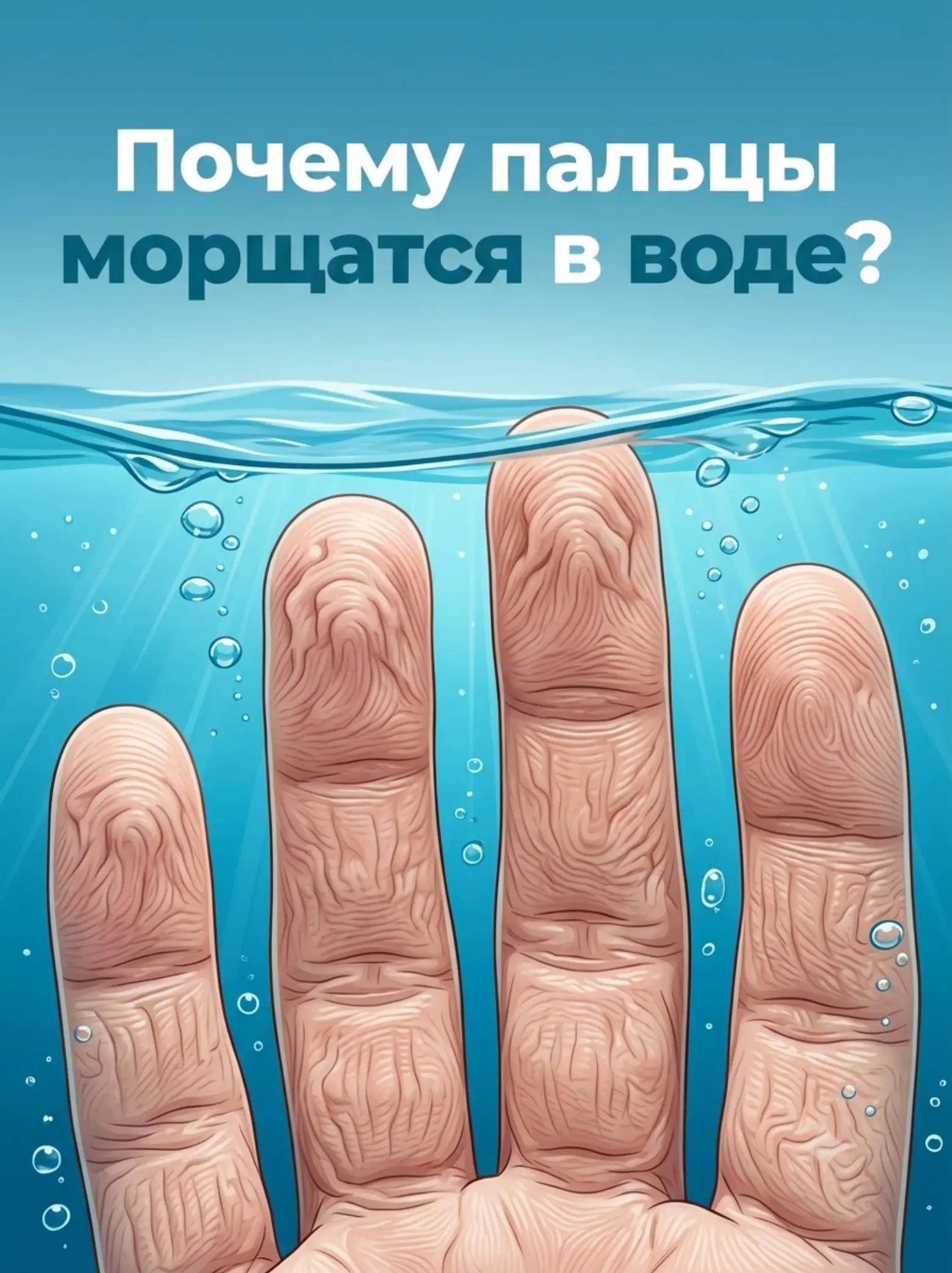 @Анна Побока про Wellness