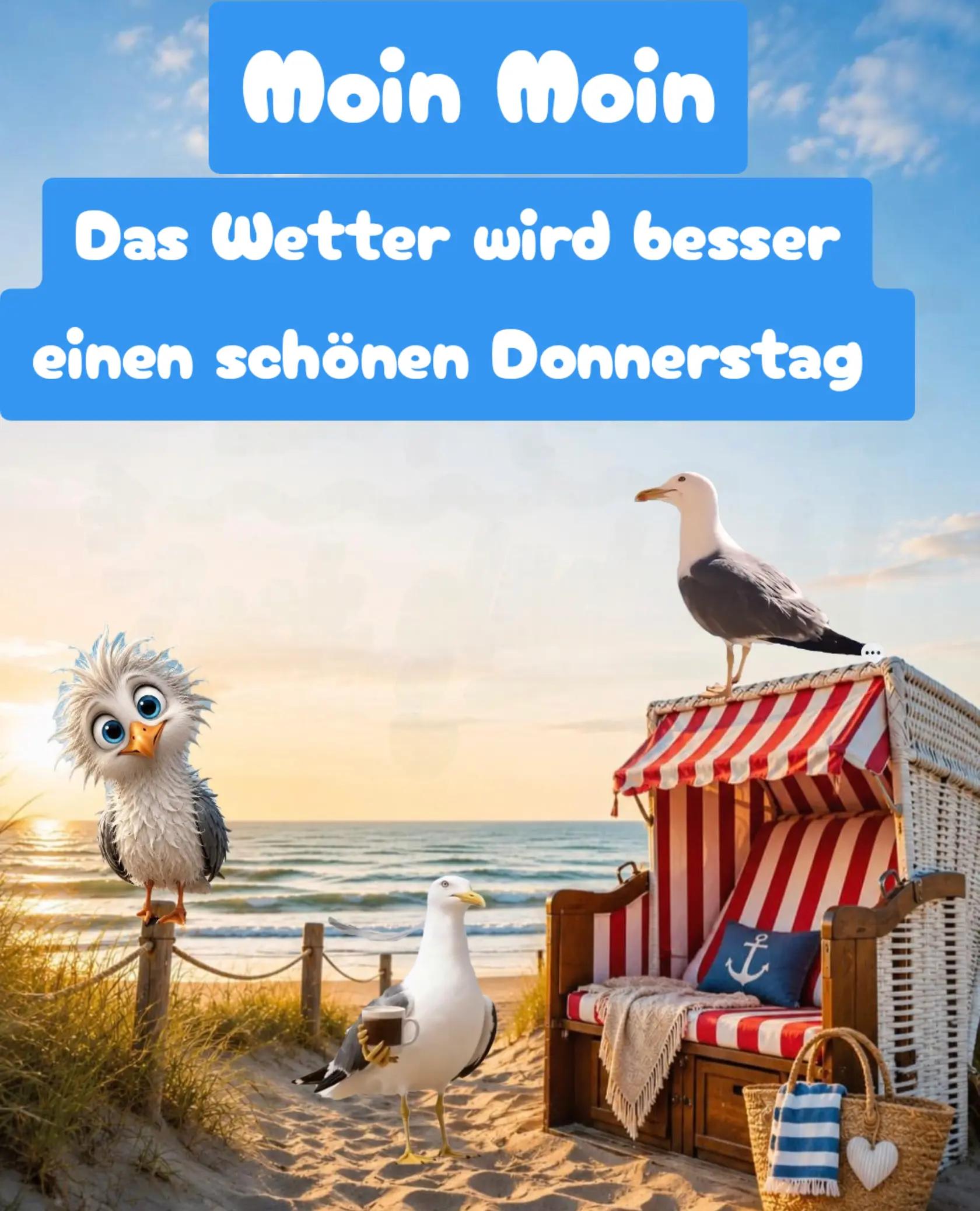 @geistlein12