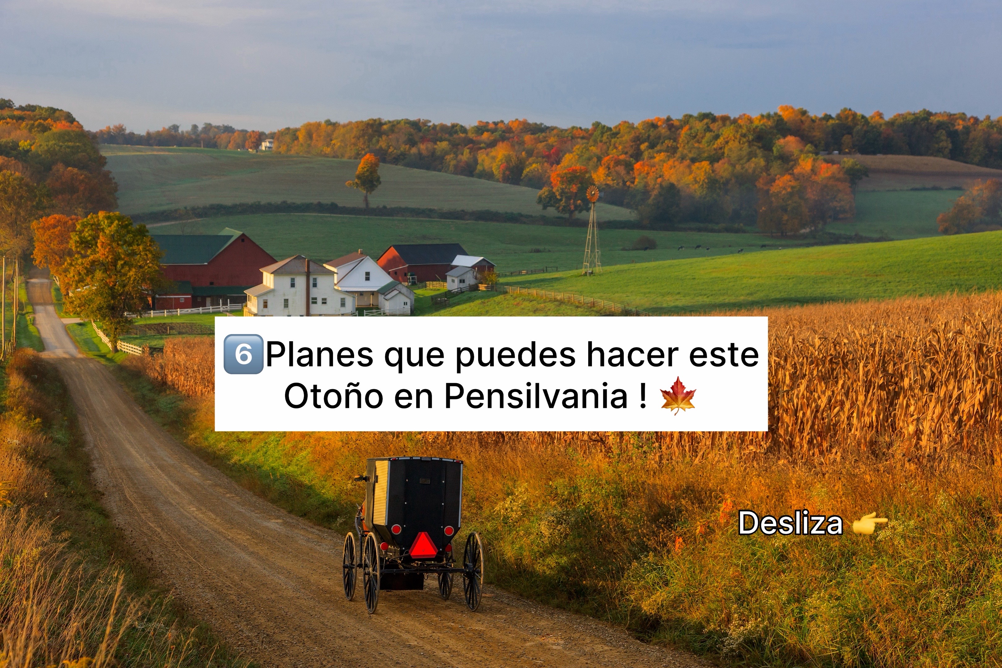 @Camilo Núñez