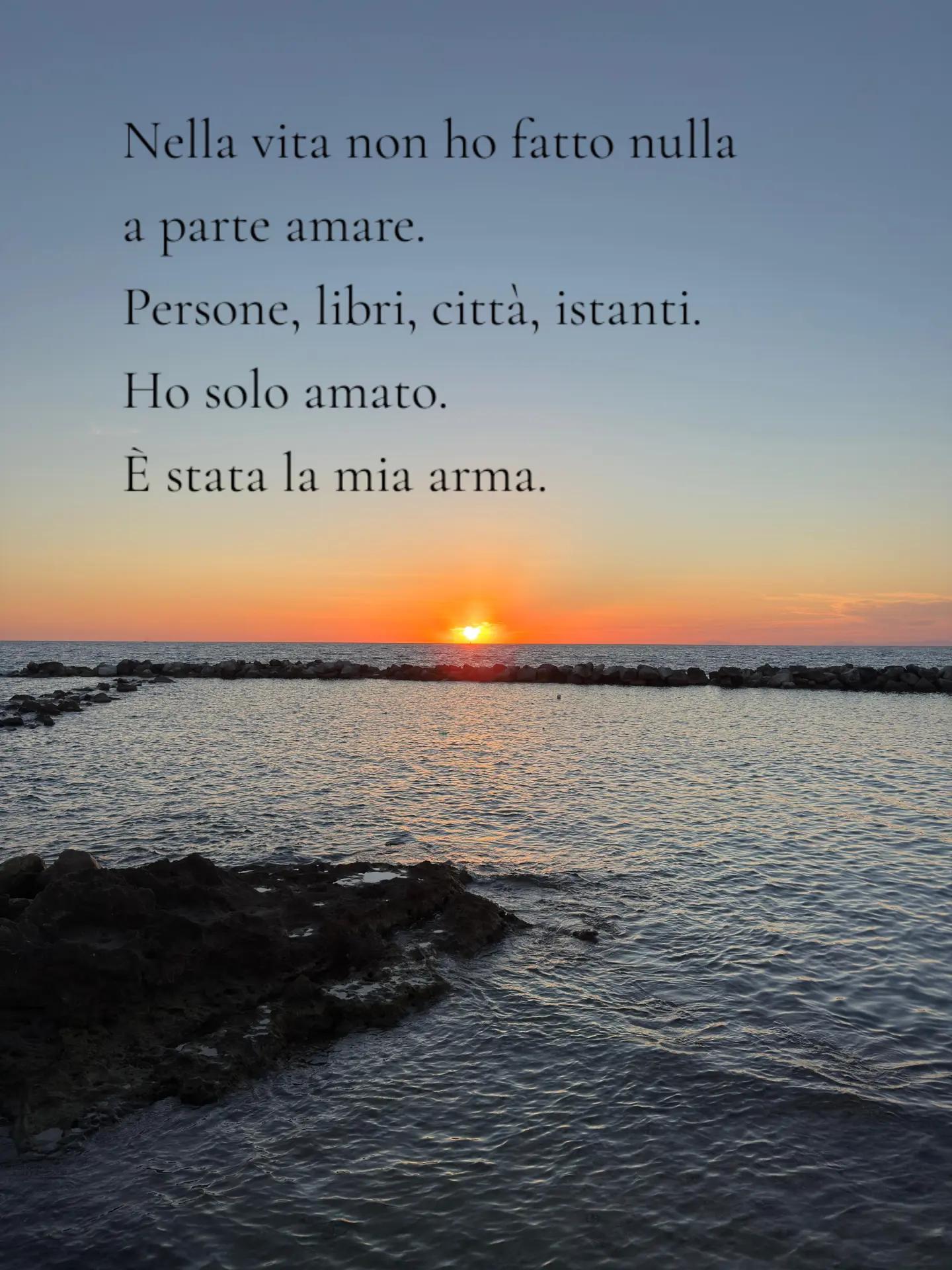 @💙Amali@