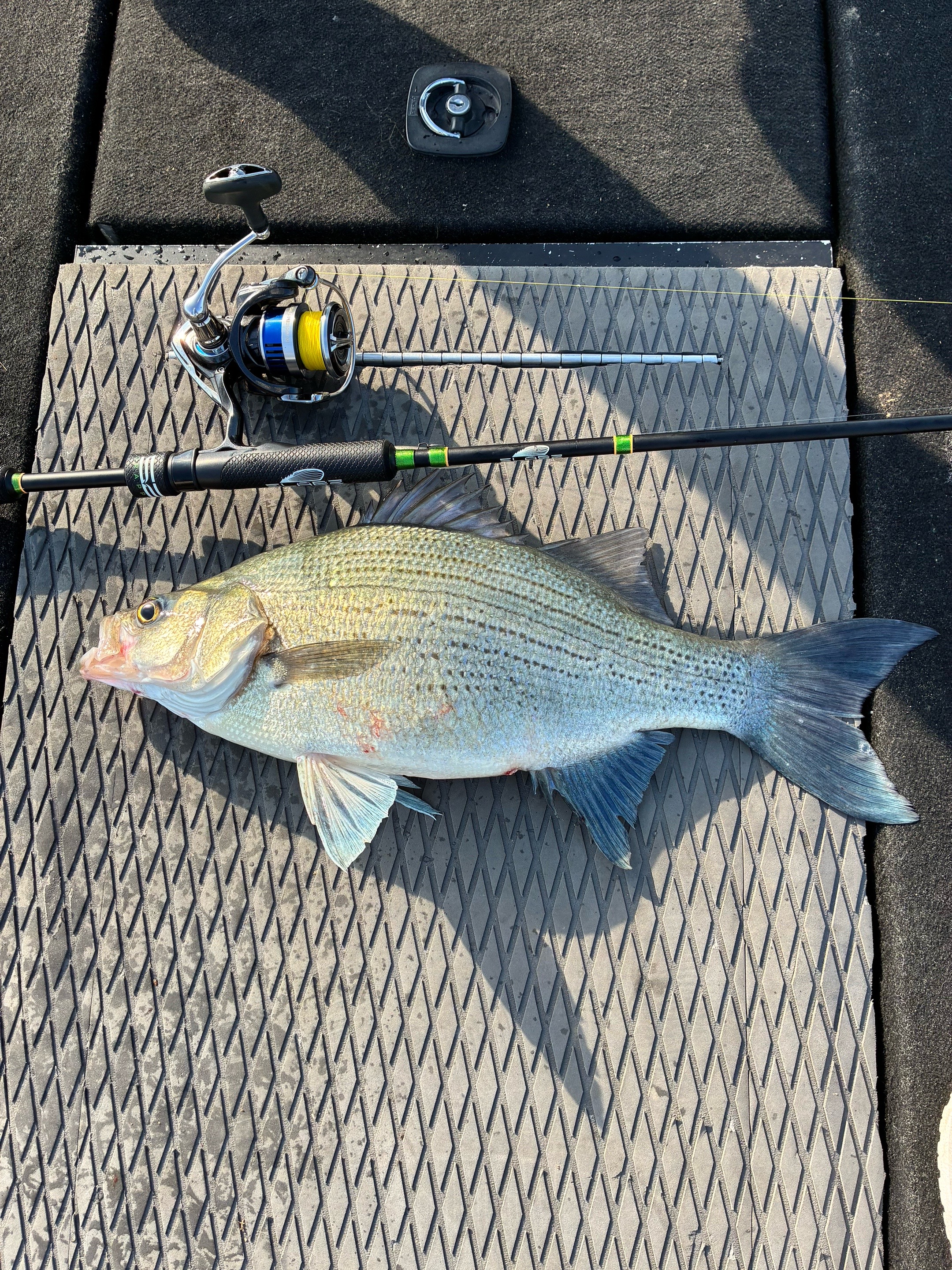 @Roper L Outdoors