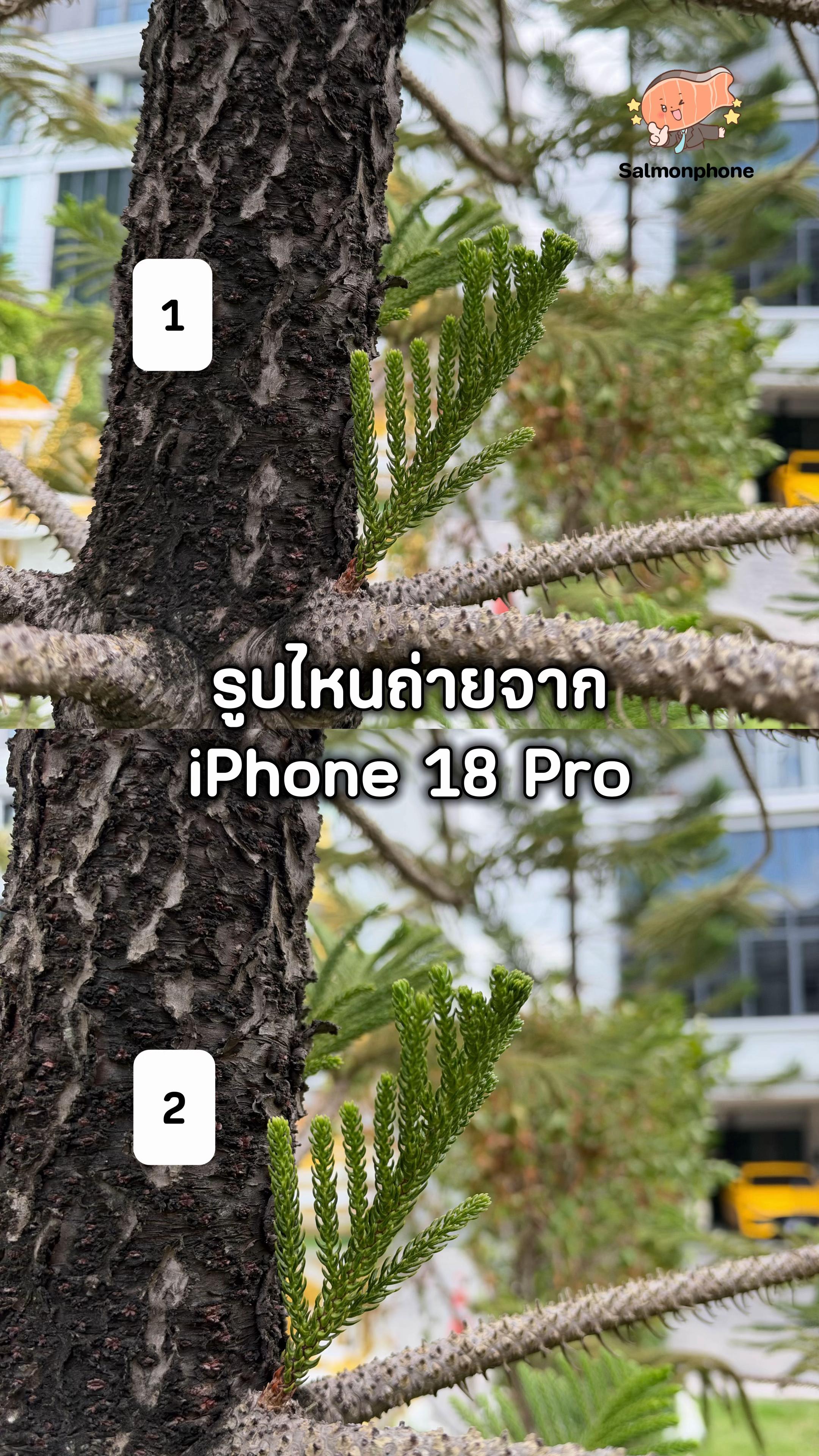 @แซลม่อนโฟนที่ผ่อนมือถือ