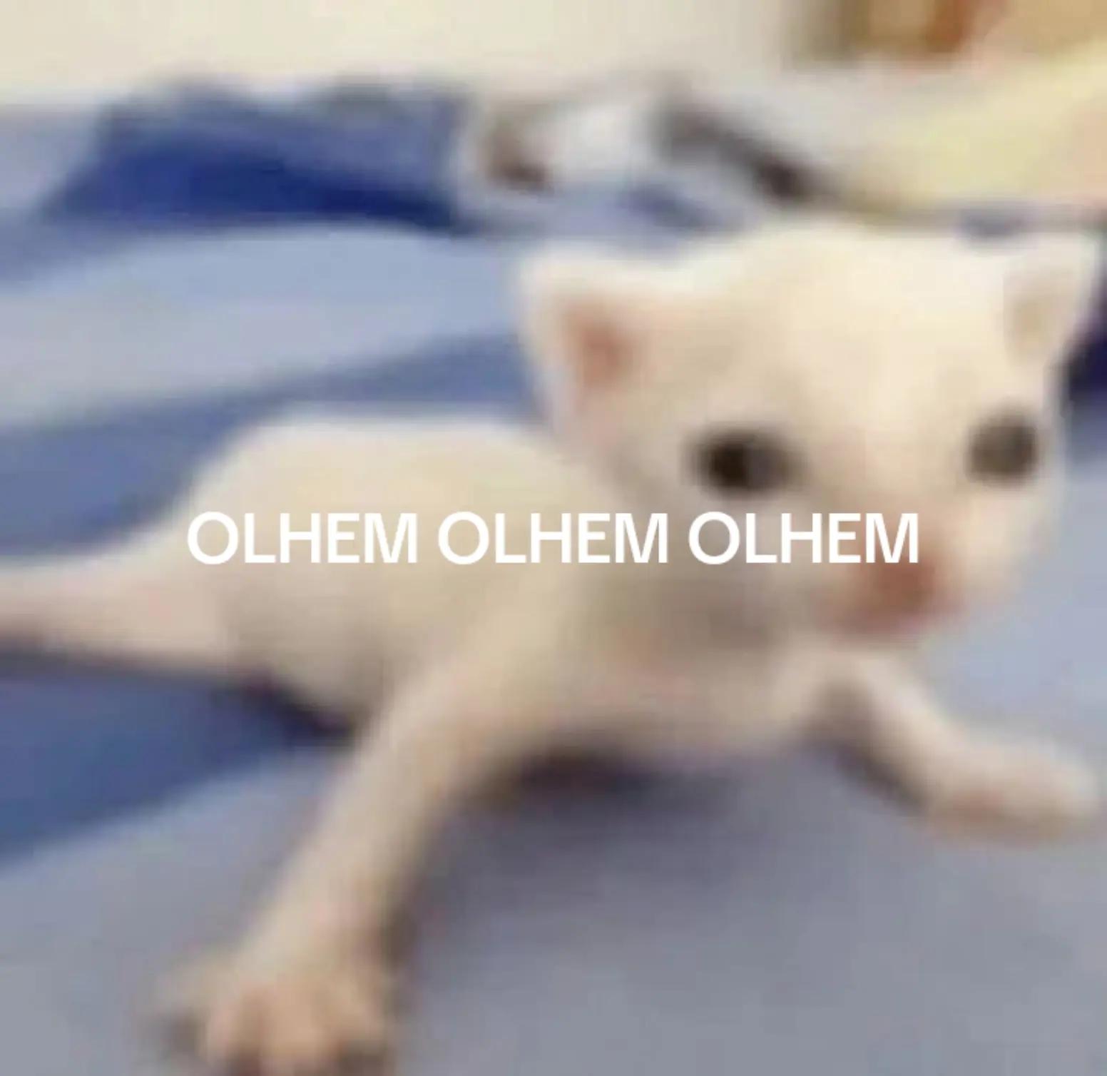 @୨୧˗ˏ✎ 𝓪𝓶𝓮̂𝓷𝓭𝓸𝓪 ˎ✎˗୨୧