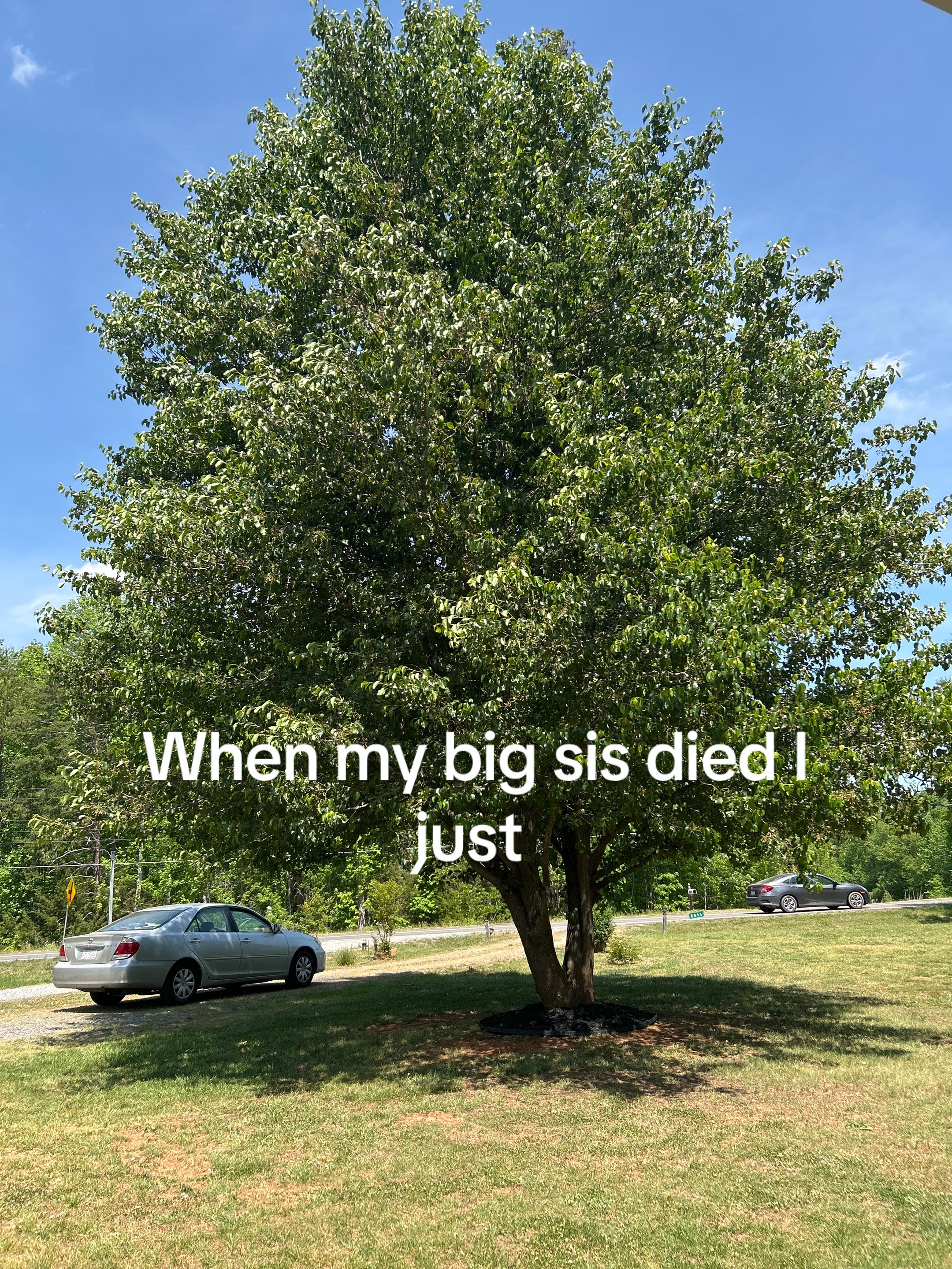 @So3n3rvat3d