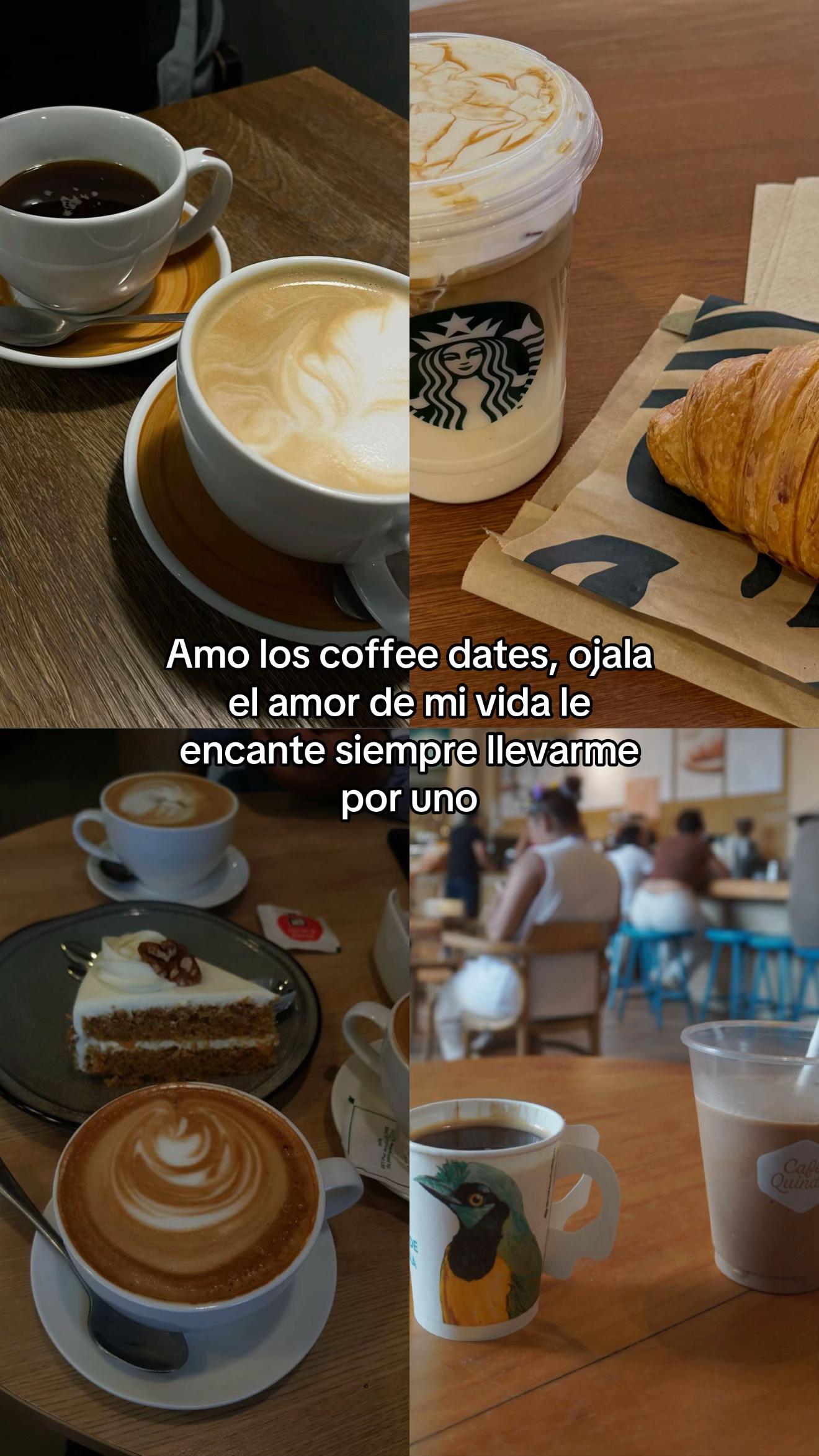 @MULATTA🤎