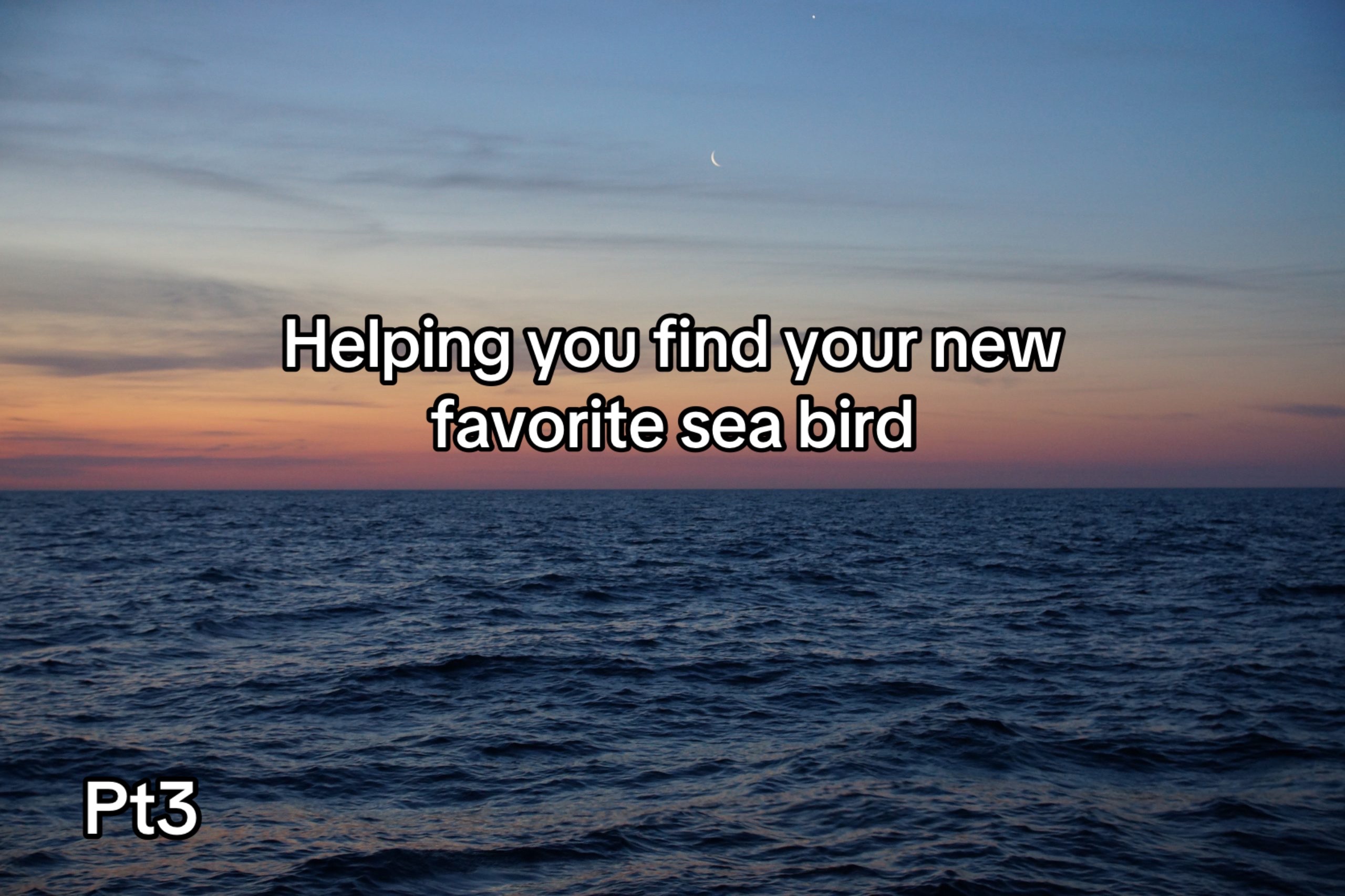 @basicallygeographic