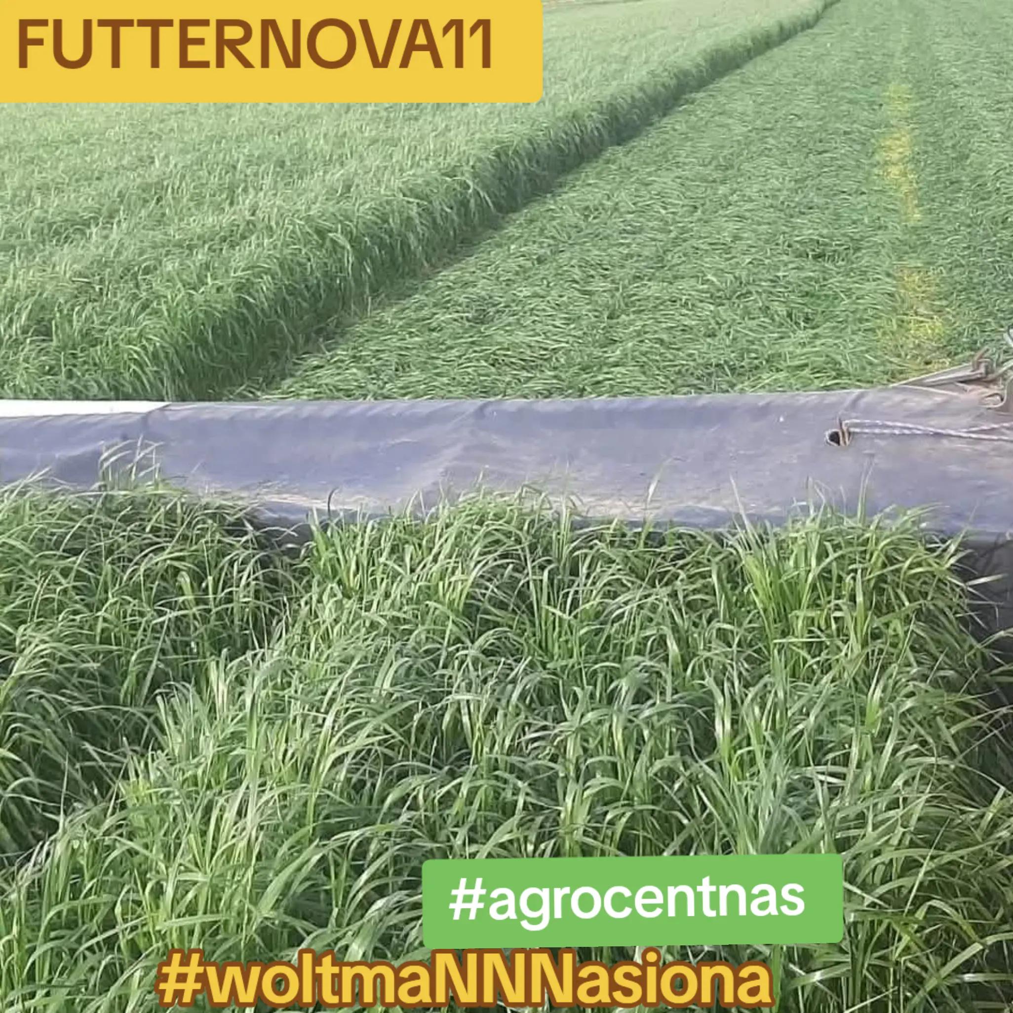 @WOLTMANNNASIONA