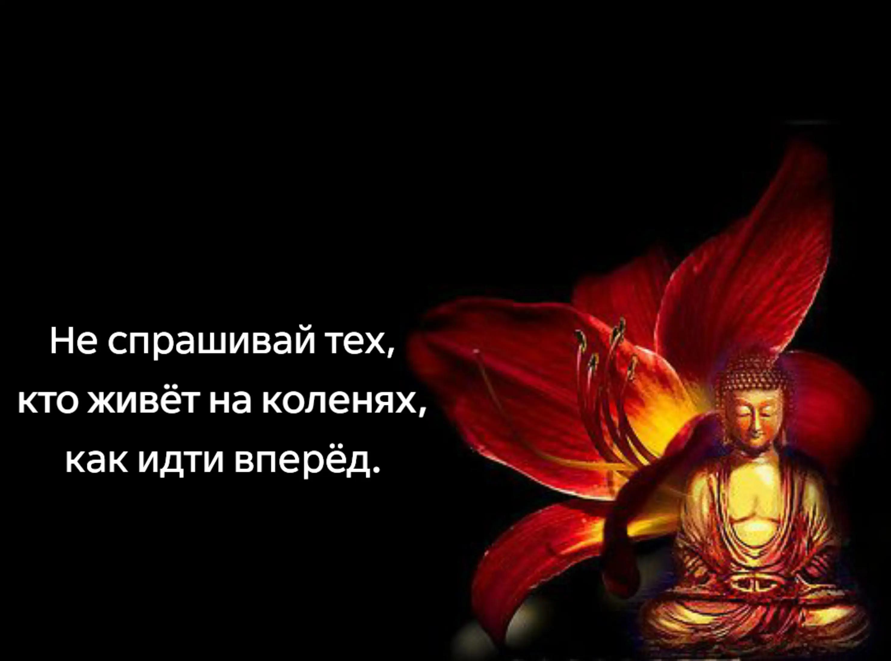 @тгк:𝕯𝖊𝖆𝖙𝖓𝖎𝖙𝖊