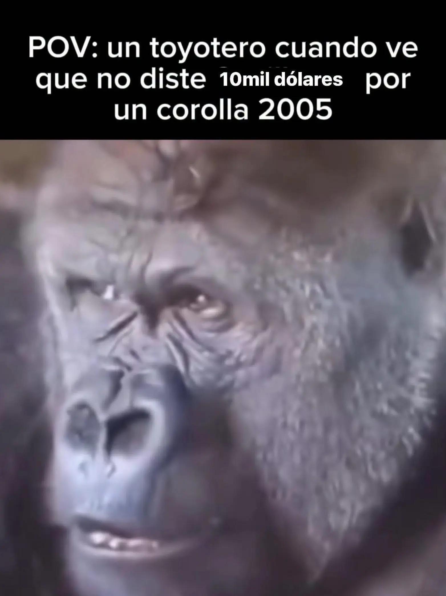 @Alexander✅️