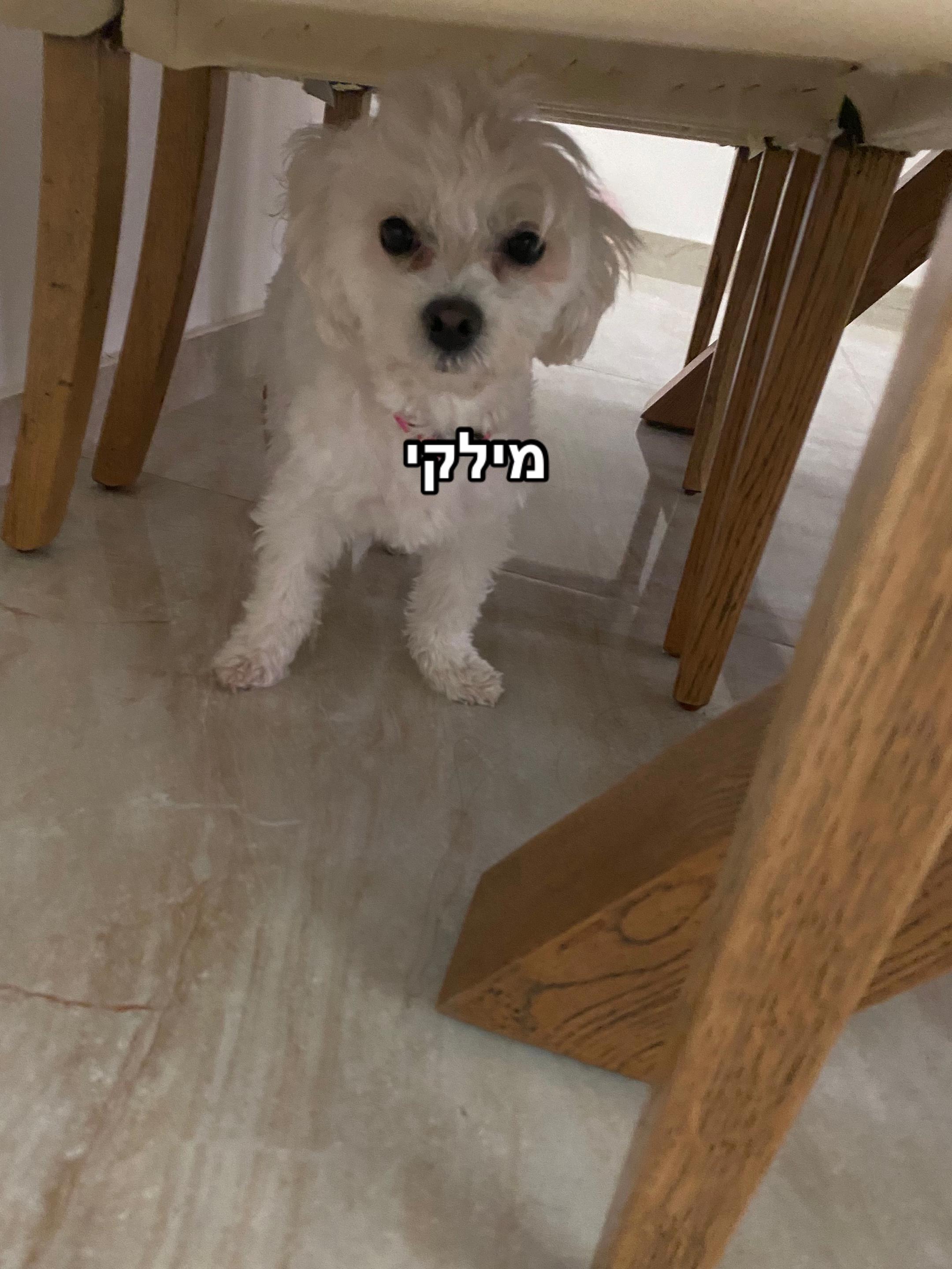 @𝐇𝐢𝐥𝐚🤍