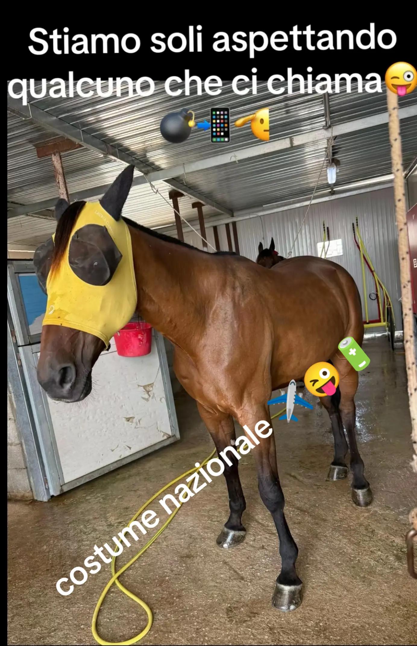 @ale_kekko_piserchia_28