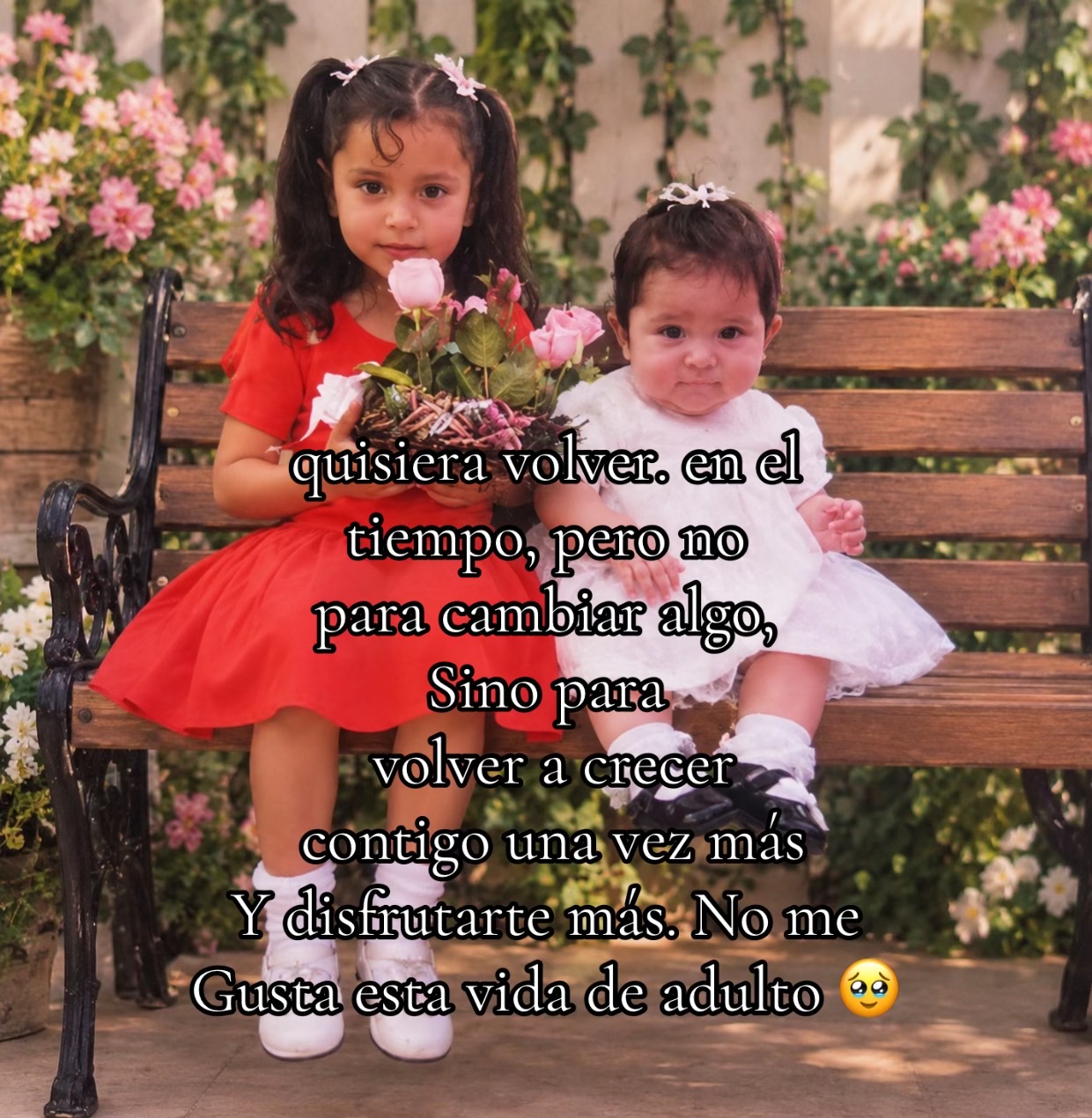@️Olaty RL