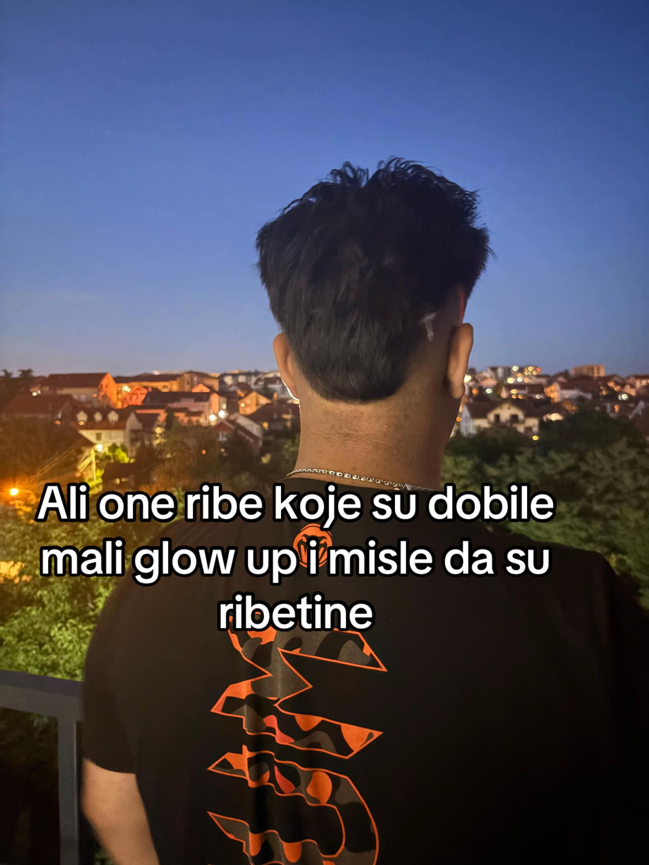 @nemanja2392