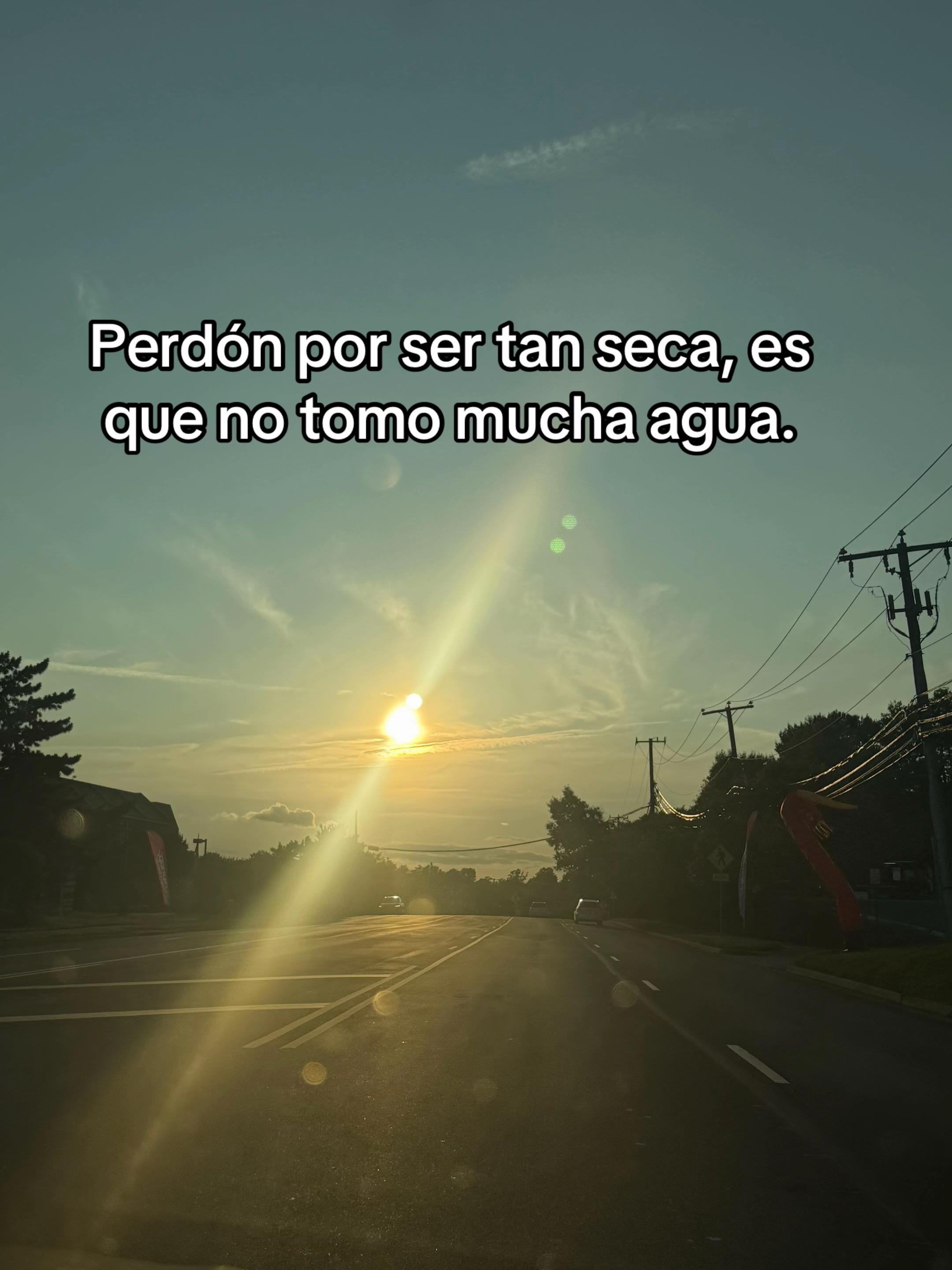 @sindyflores730