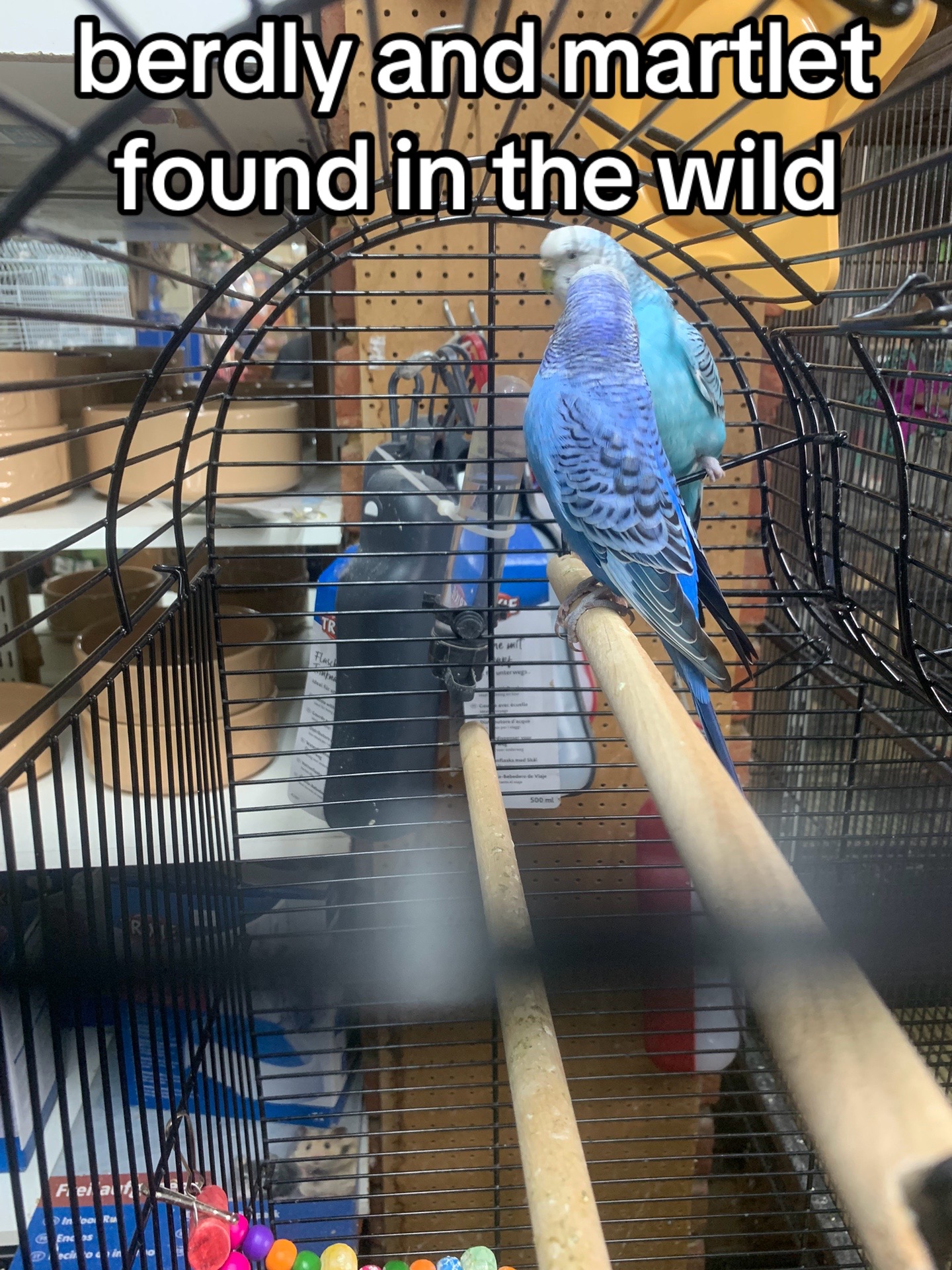 @тєммιє