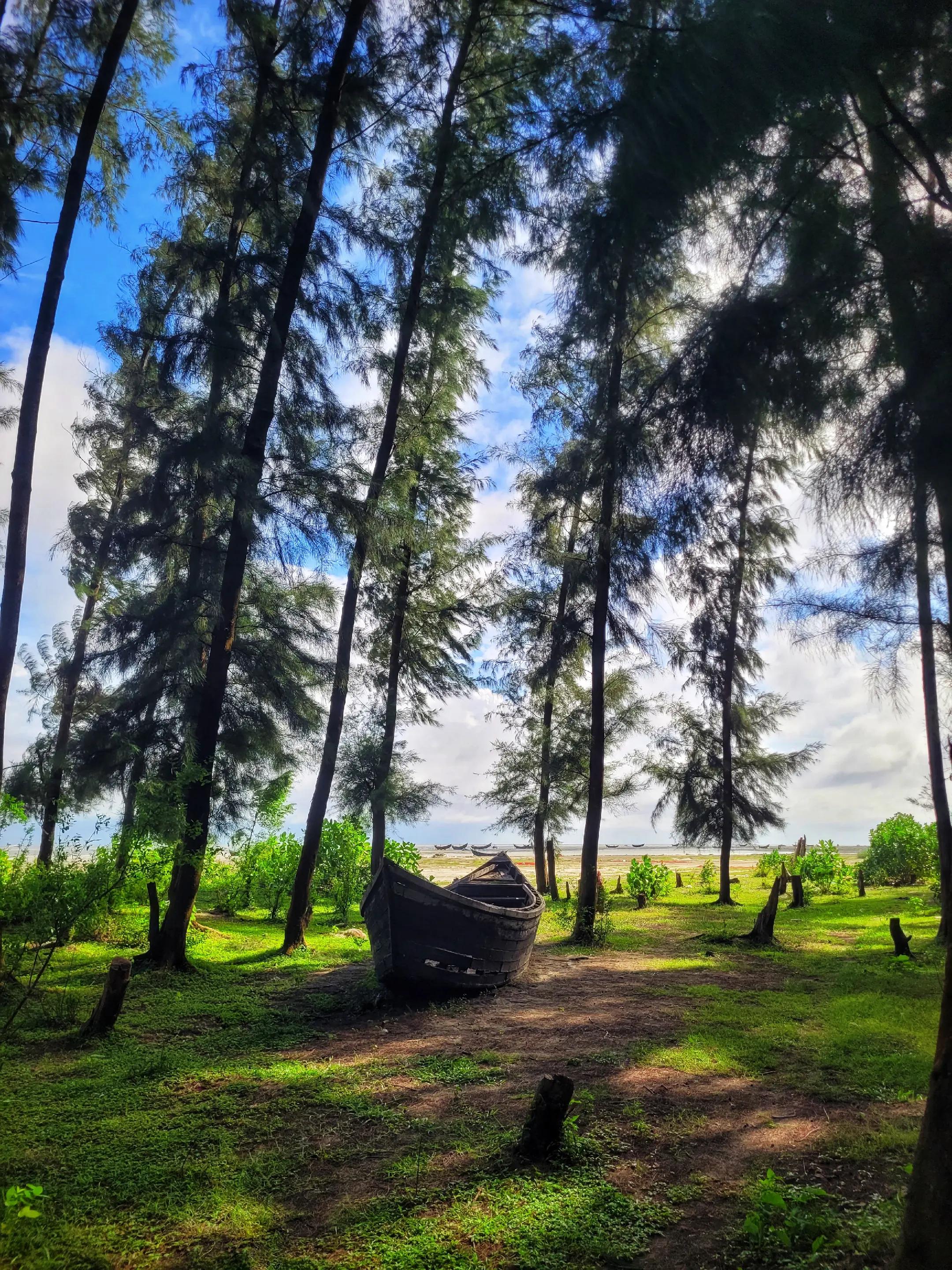 @Close to Nature. đ§đŠ