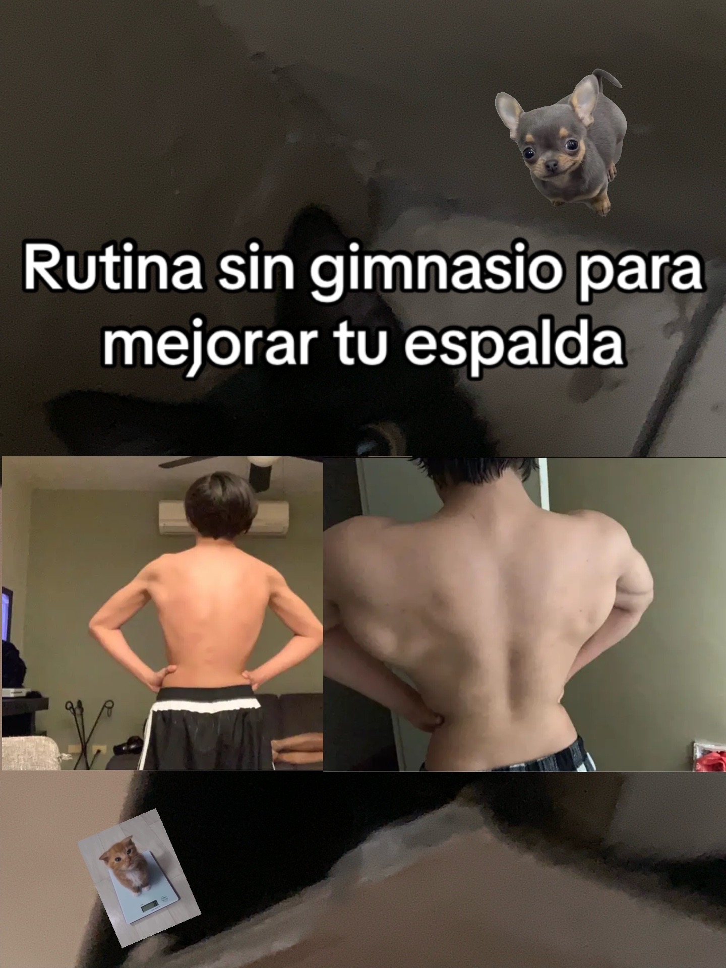 @Camaaronxd