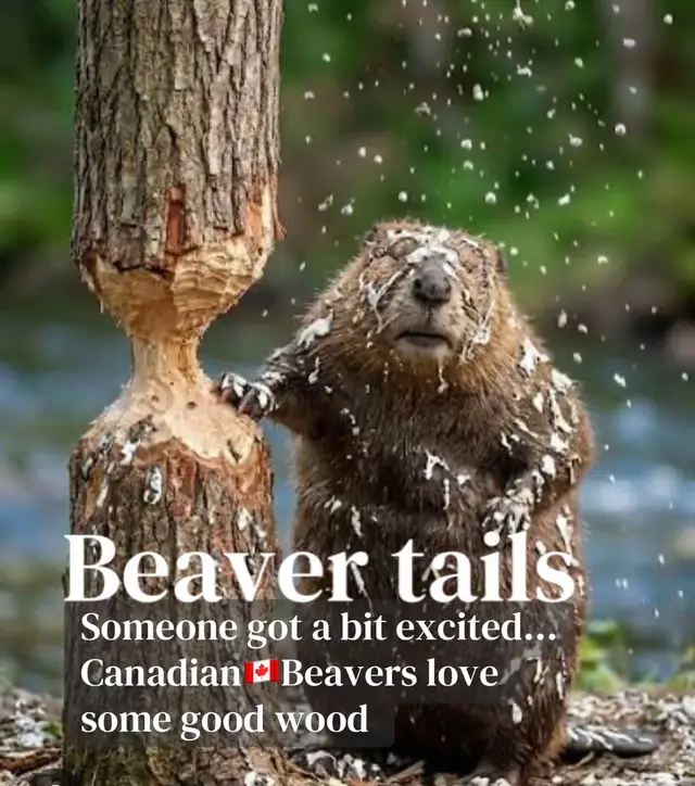 @a.canadiangoodgirl🇨🇦🇮🇹