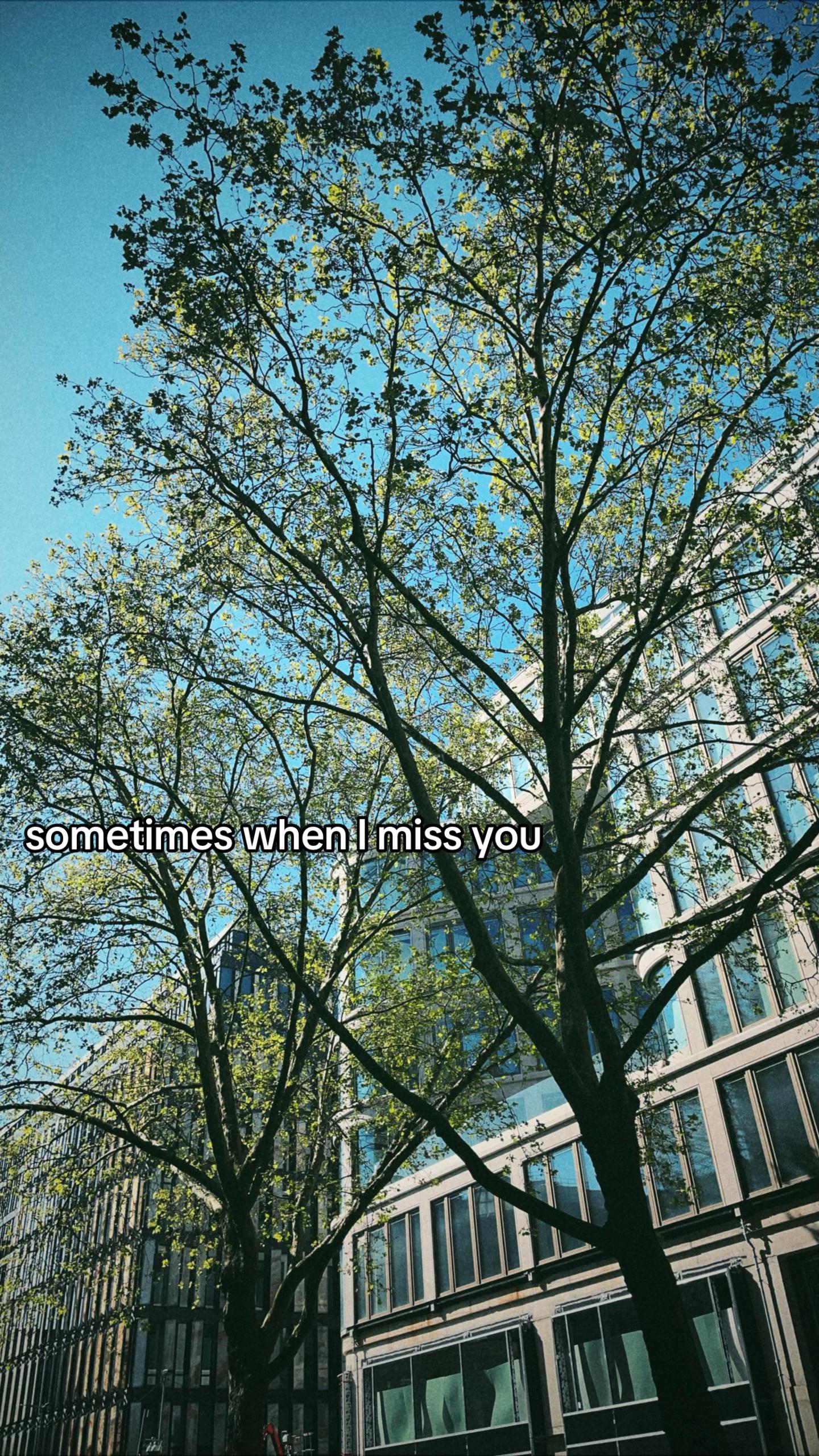 @leon