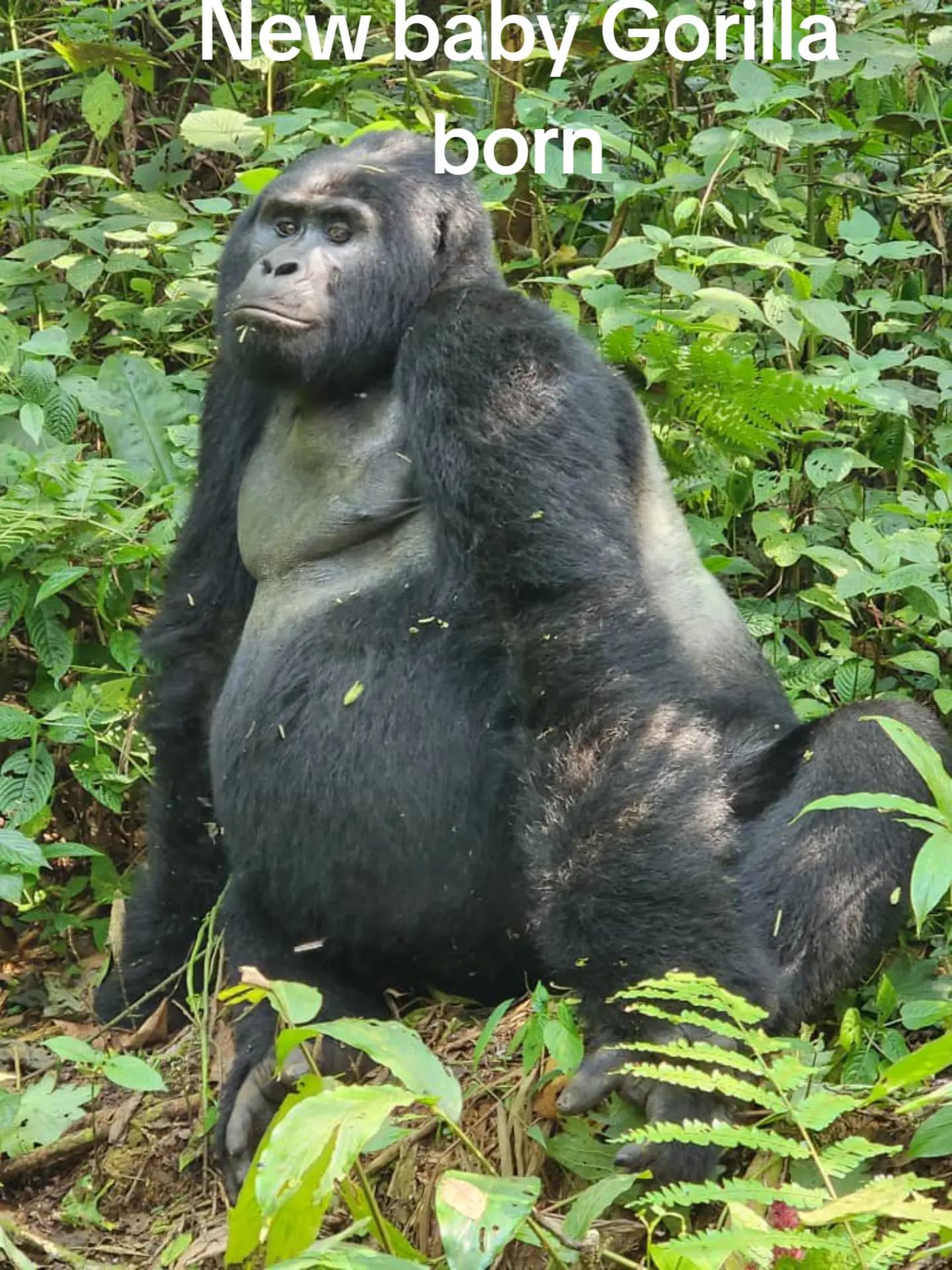 @profmaggiekigozi