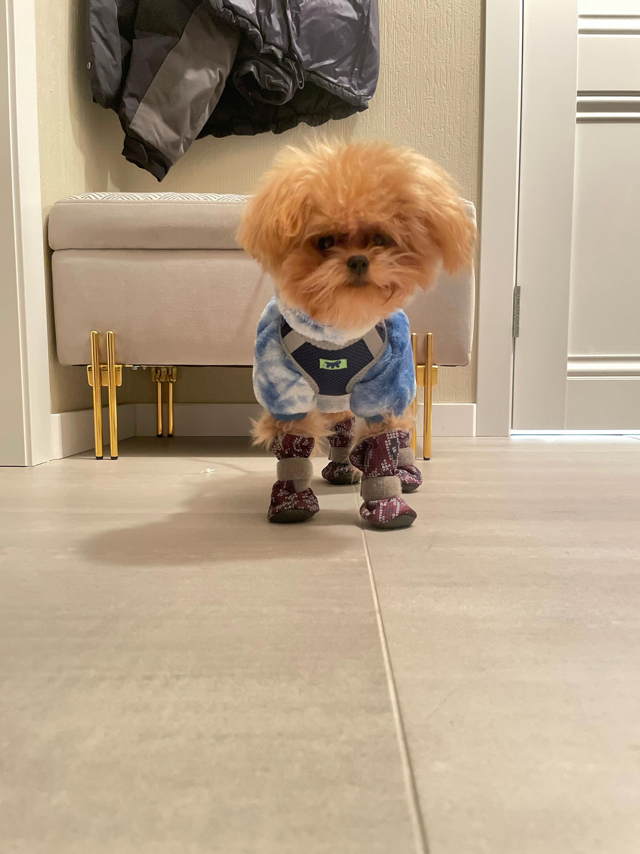 @Козлик Бафомет