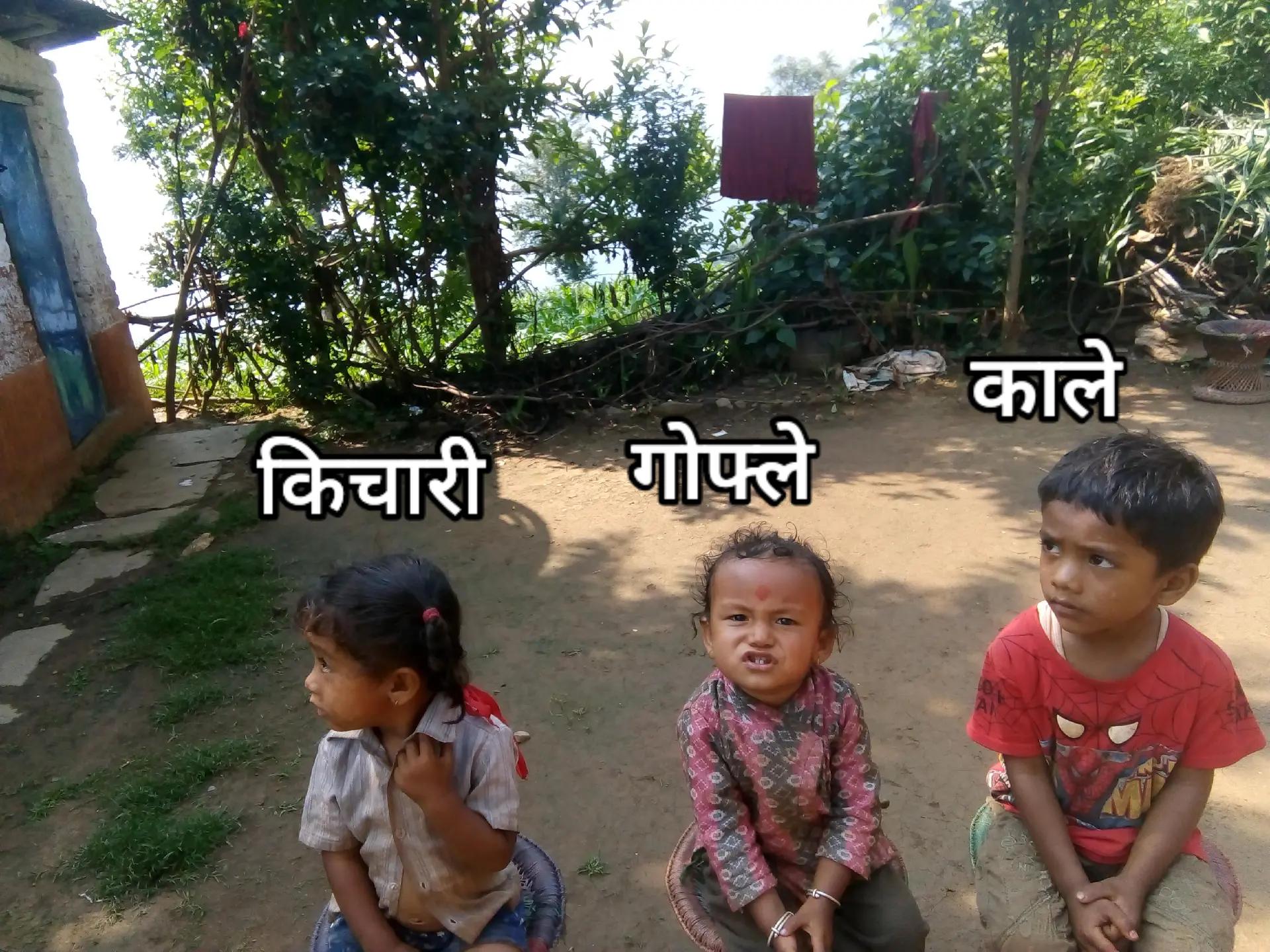 @KBD_Sallephurkaसल्लेफुर्का🇳🇵