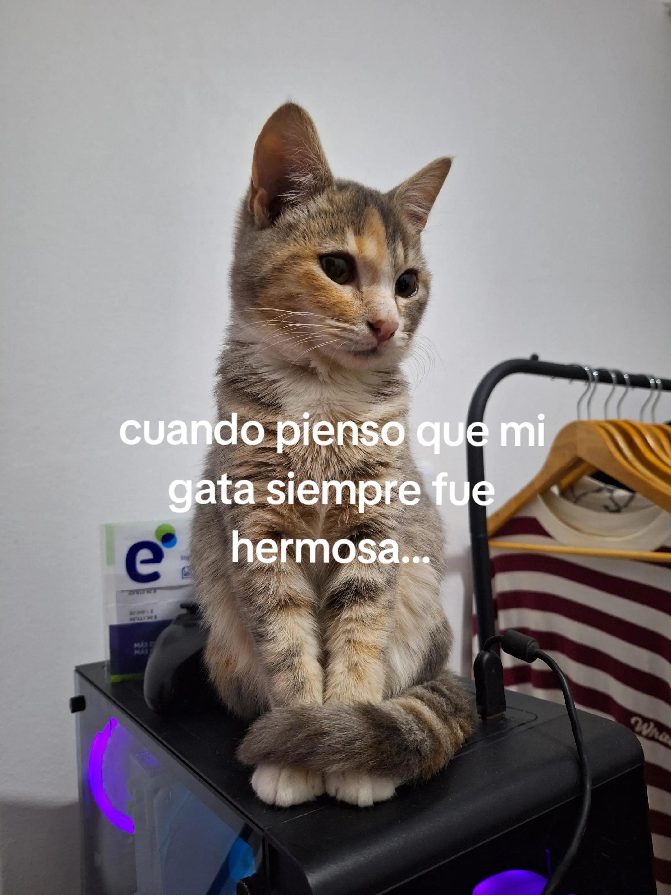 @Alejo Delo